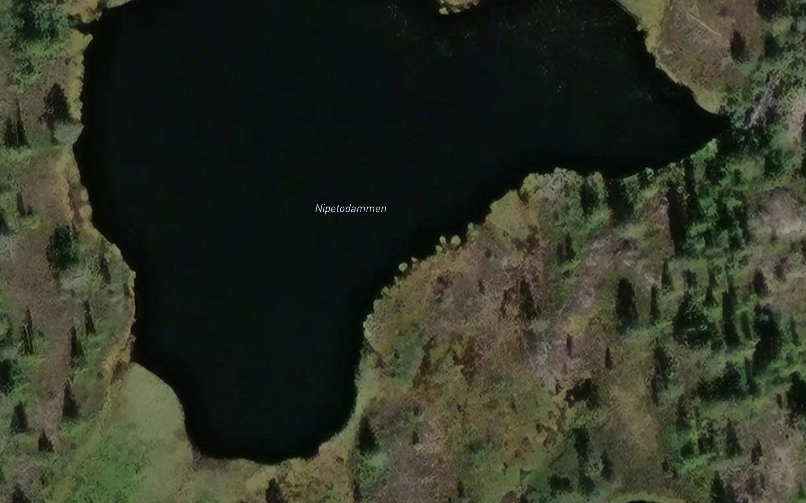 Nipetodammen