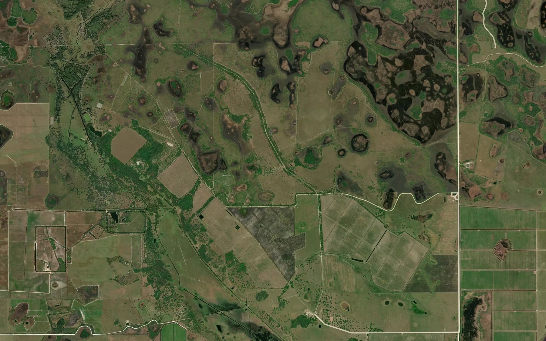 Satellite map of the Gator Branch