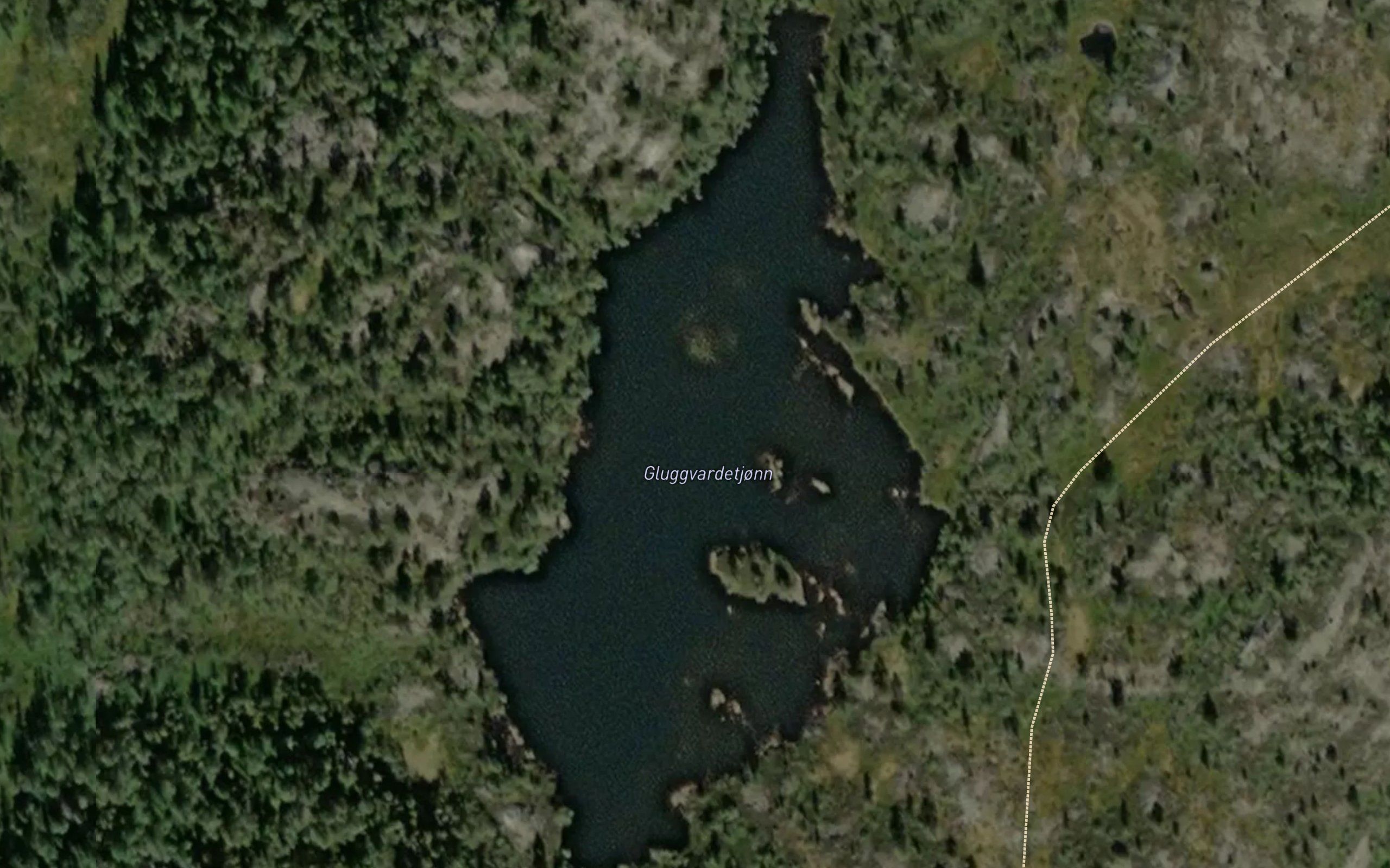 Gluggvardetjonn