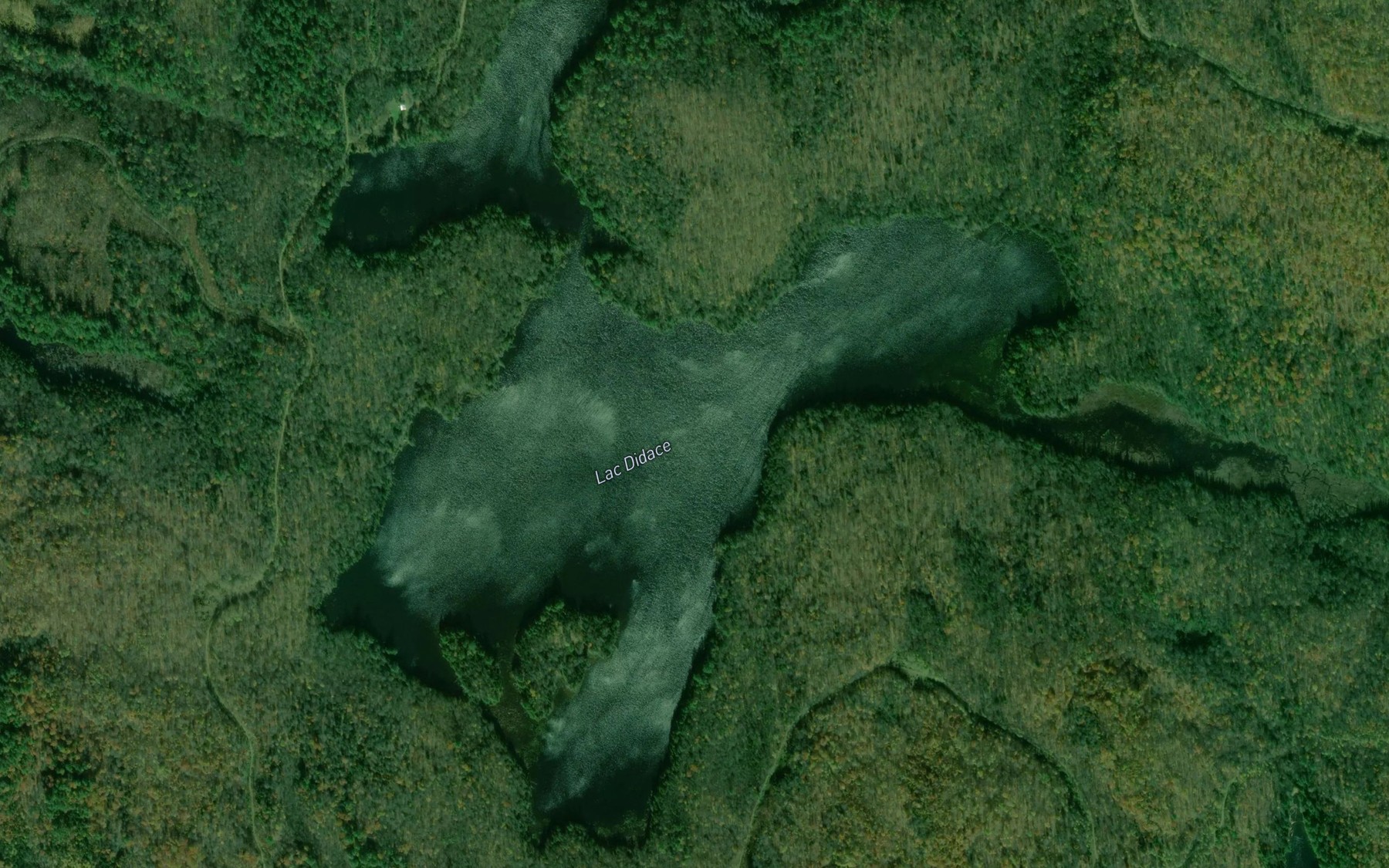 Satellite map of the Lac Didace