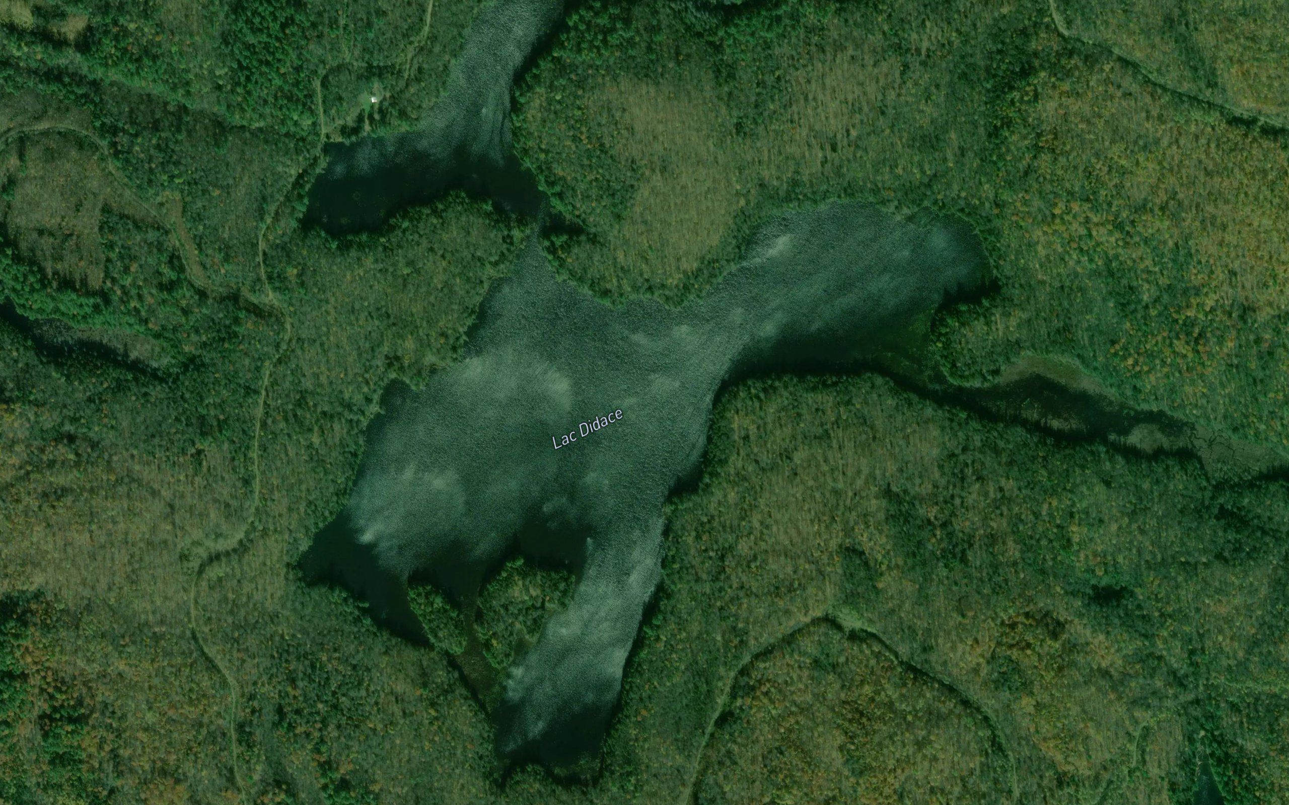 Lac Didace