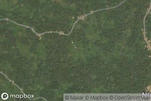 Ngomo
