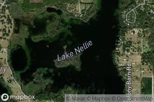 Lake Nellie