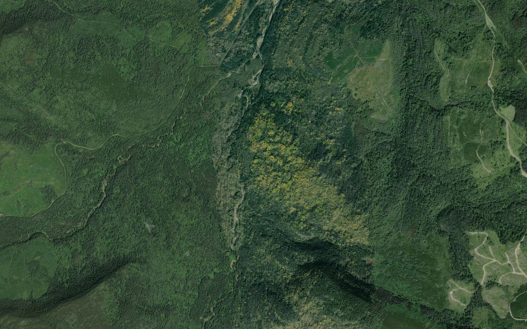 Satellite map of the Alvin Creek