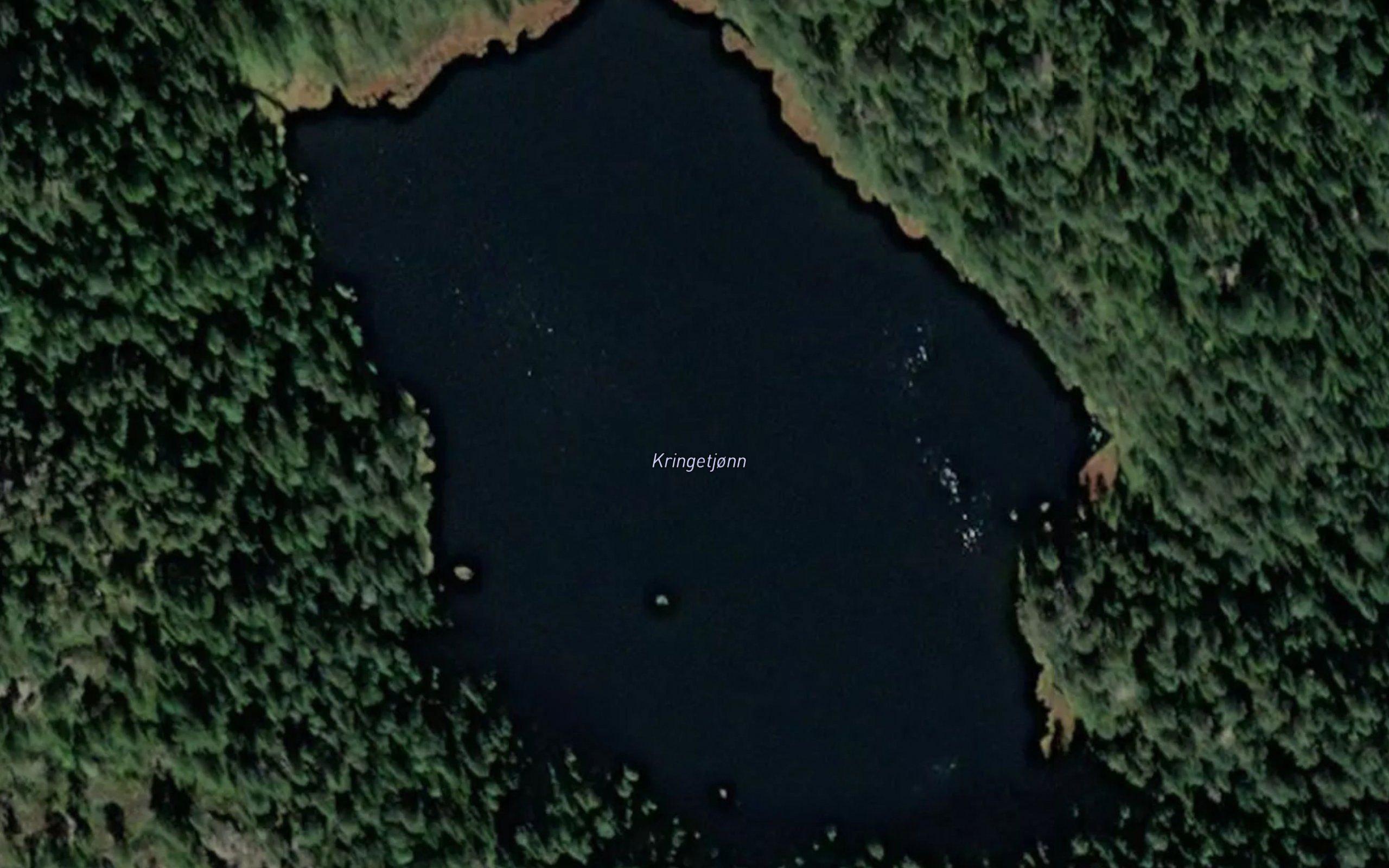 Kringetjonn