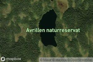 Store Avrillen
