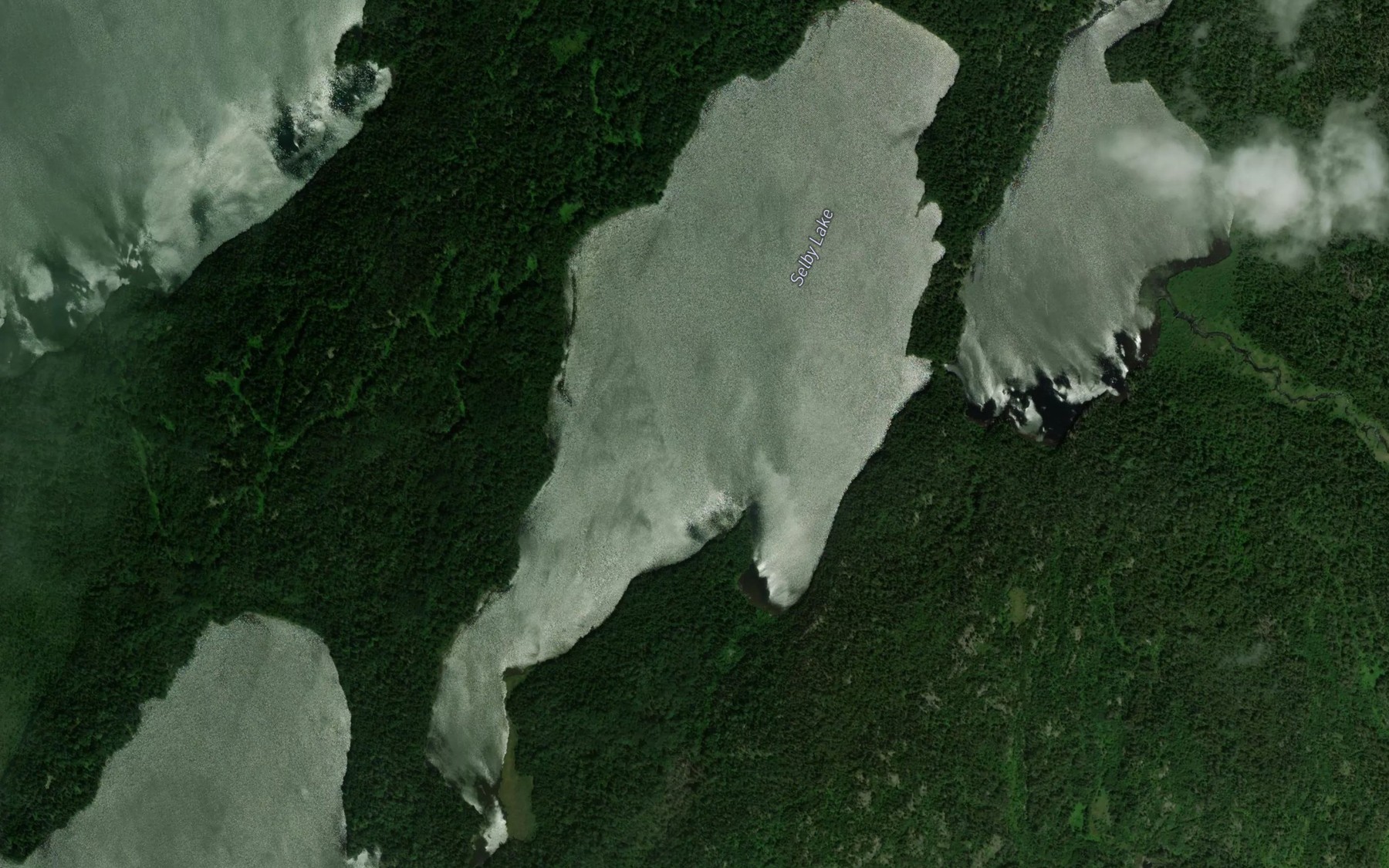 Satellite map of the Selby Lake