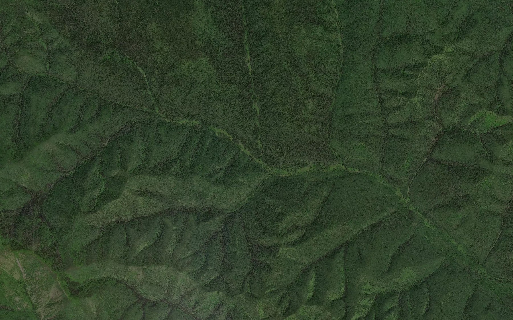 Satellite map of the Lesnoy