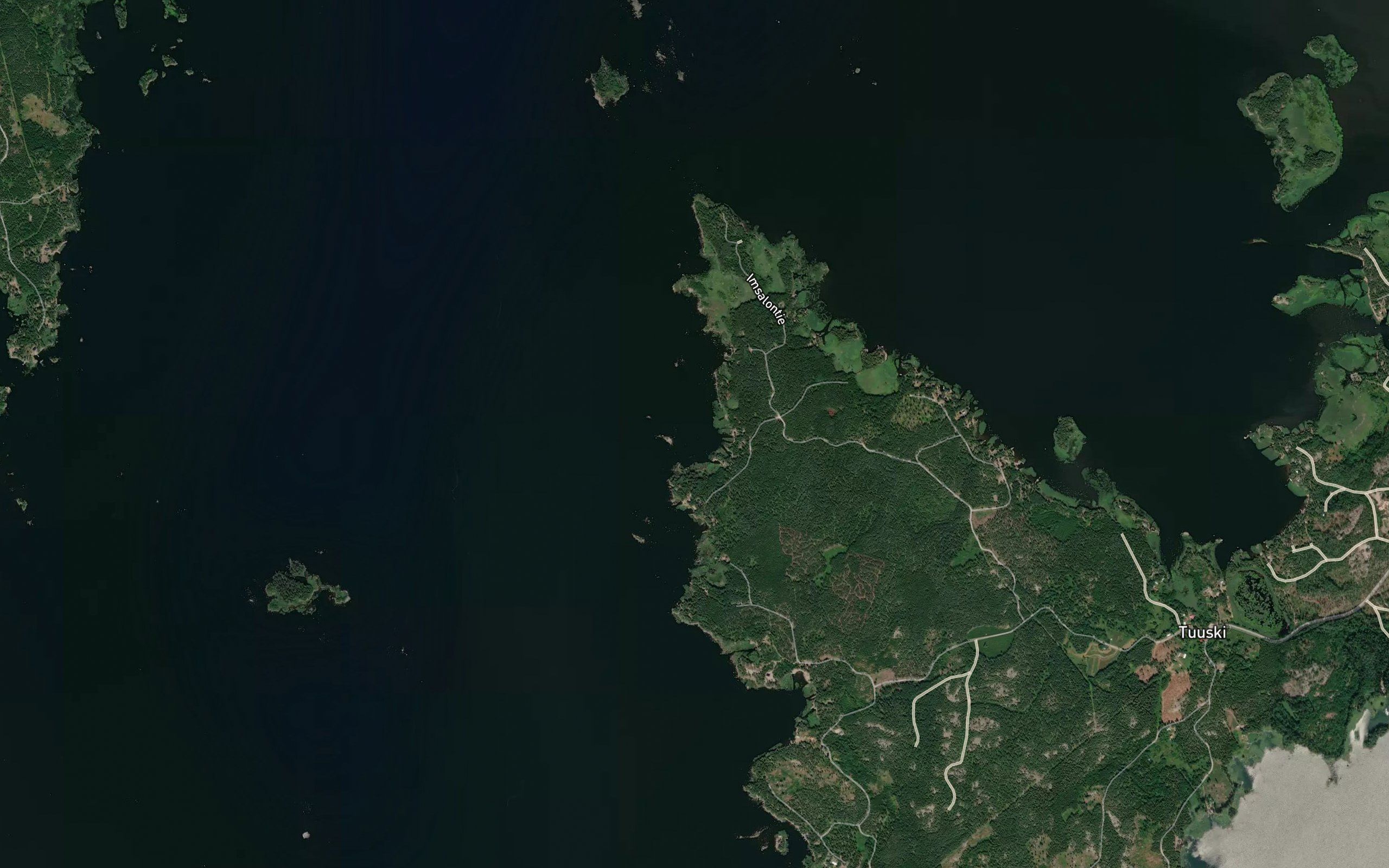 Farfarsvassen