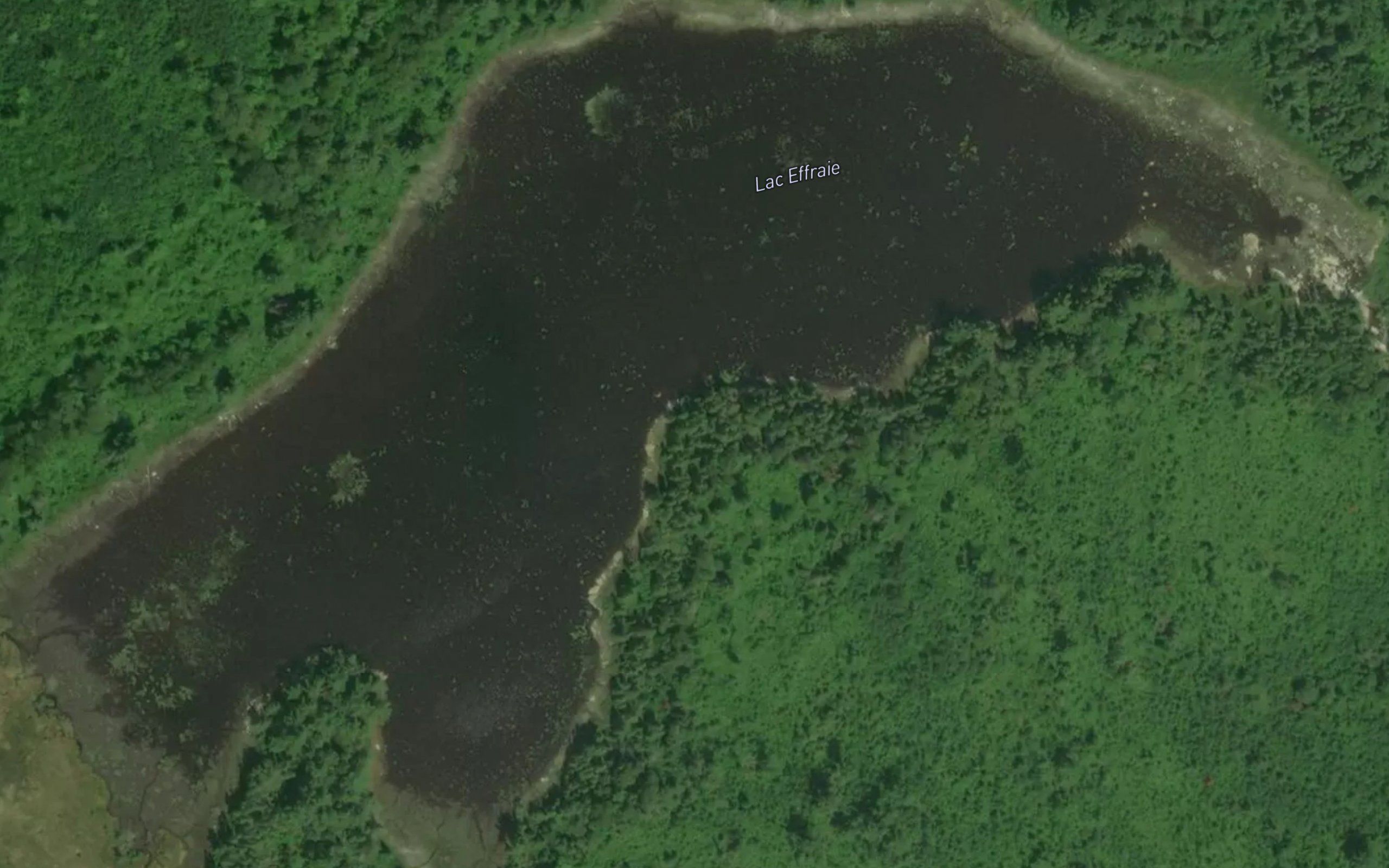 Lac Effraie