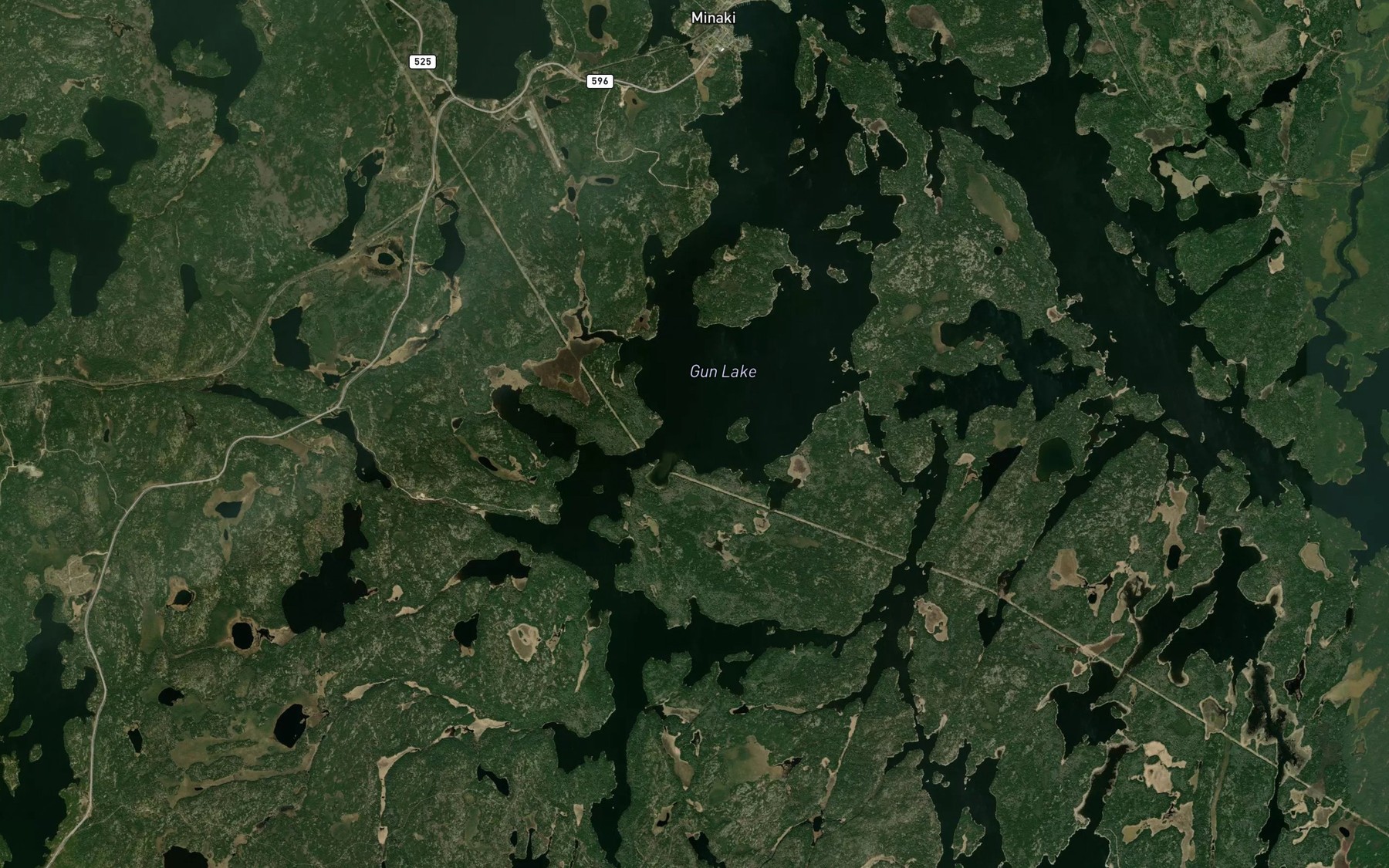 Satellite map of the Gun Lake