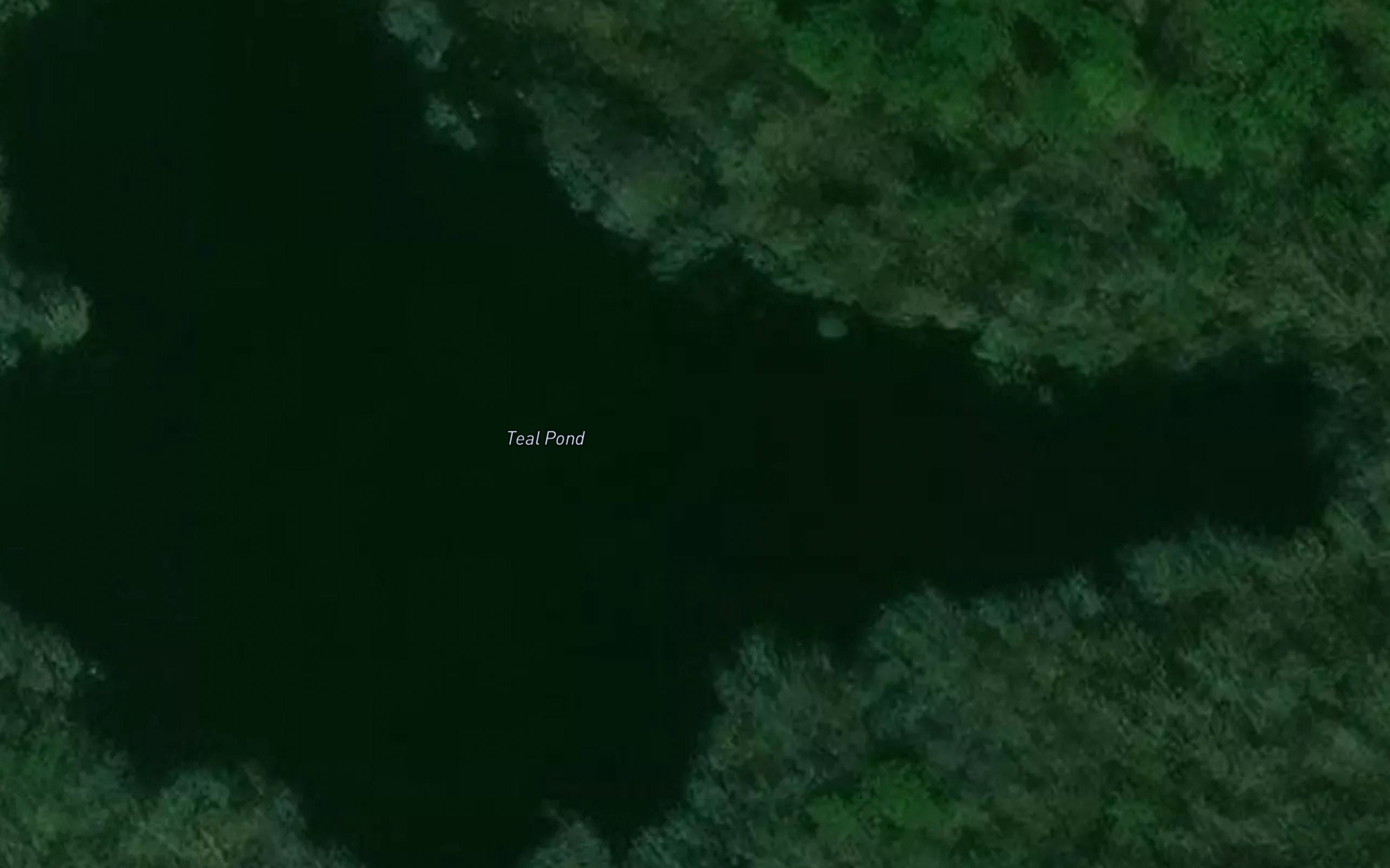 Teal Pond