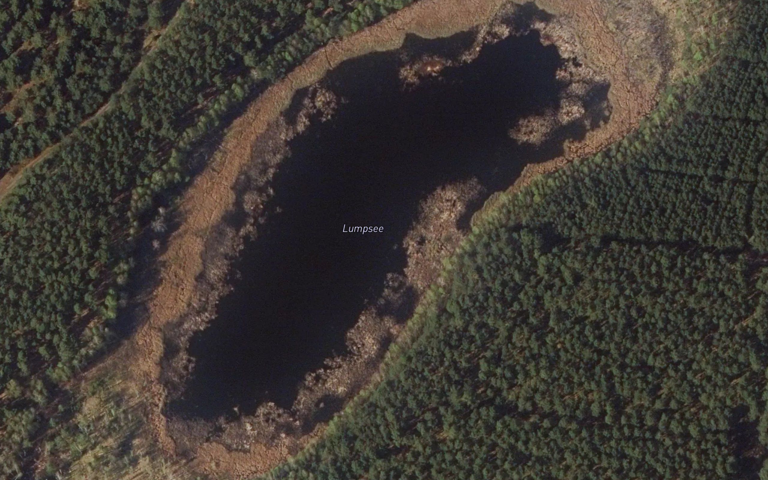 Lumpsee