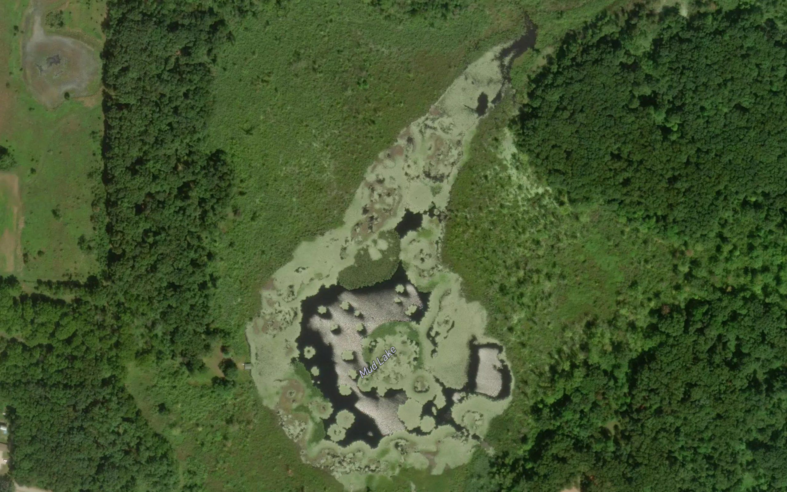 Mud Lake