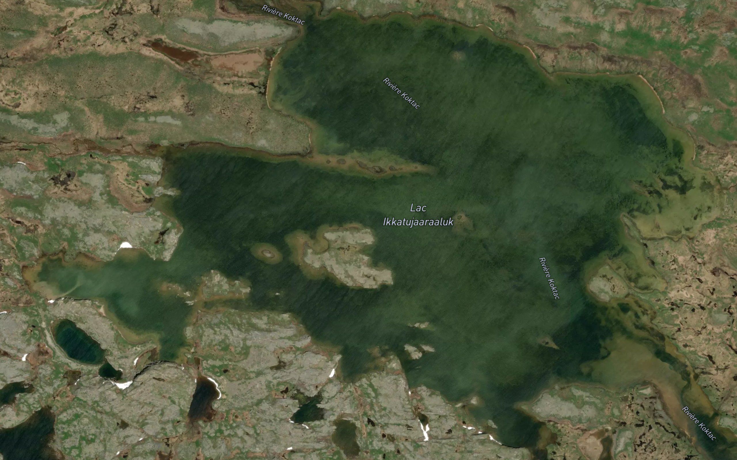 Lac Ikkatujaaraaluk