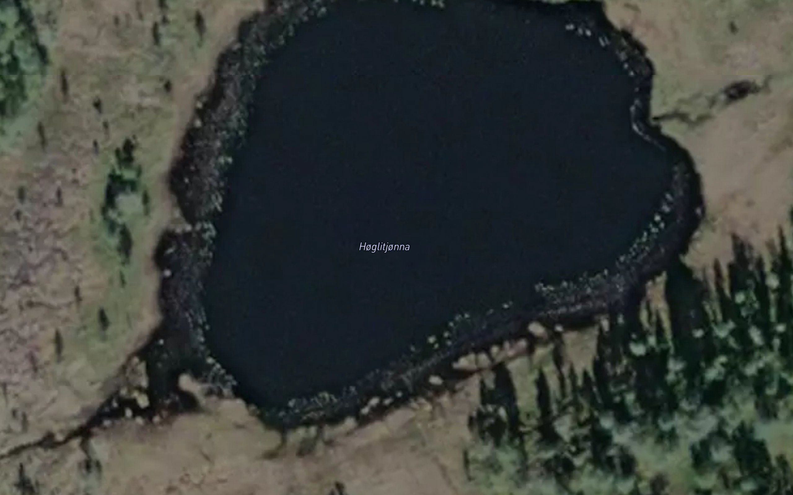Hoglitjorna