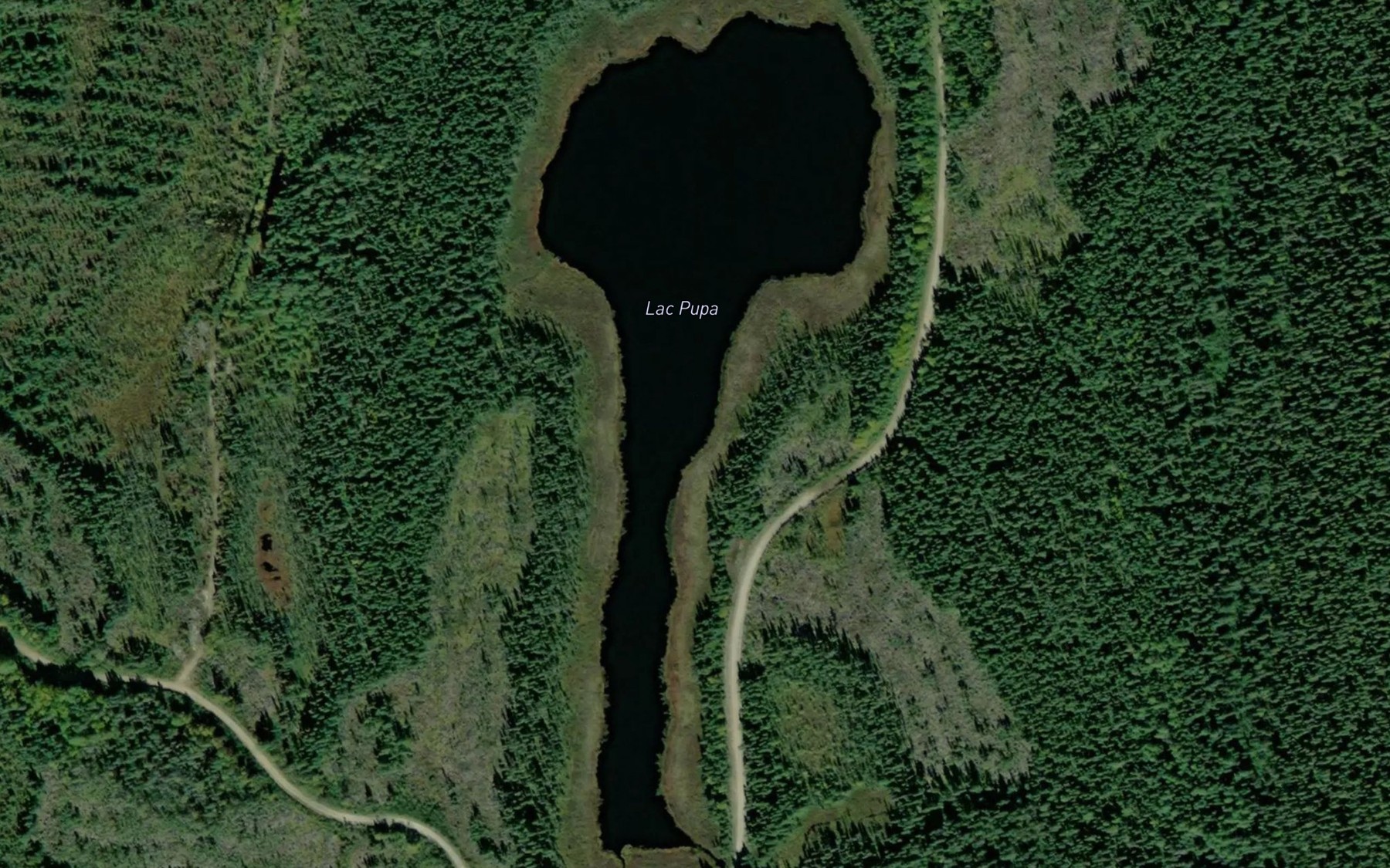 Satellite map of the Lac Pupa