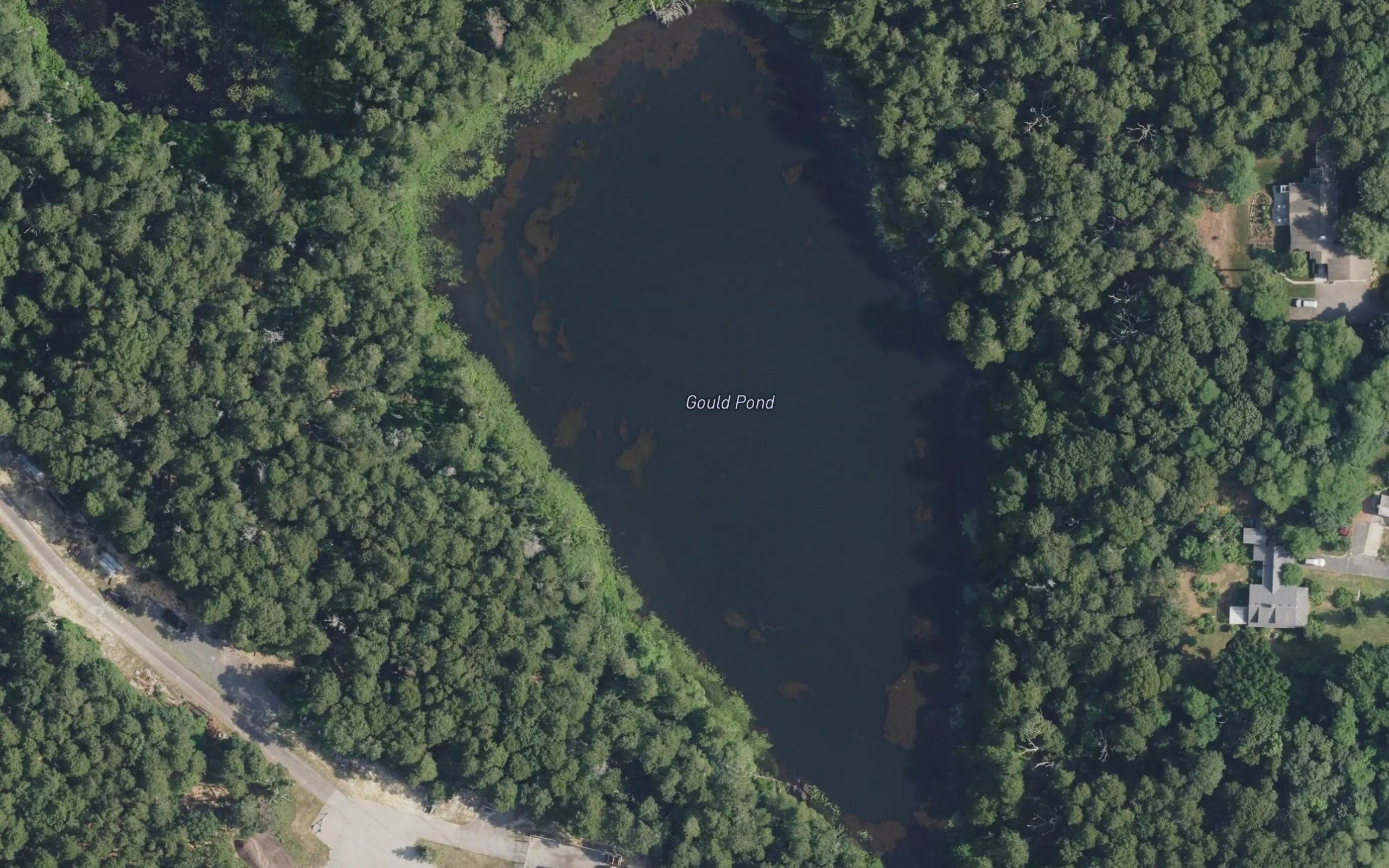 Gould Pond