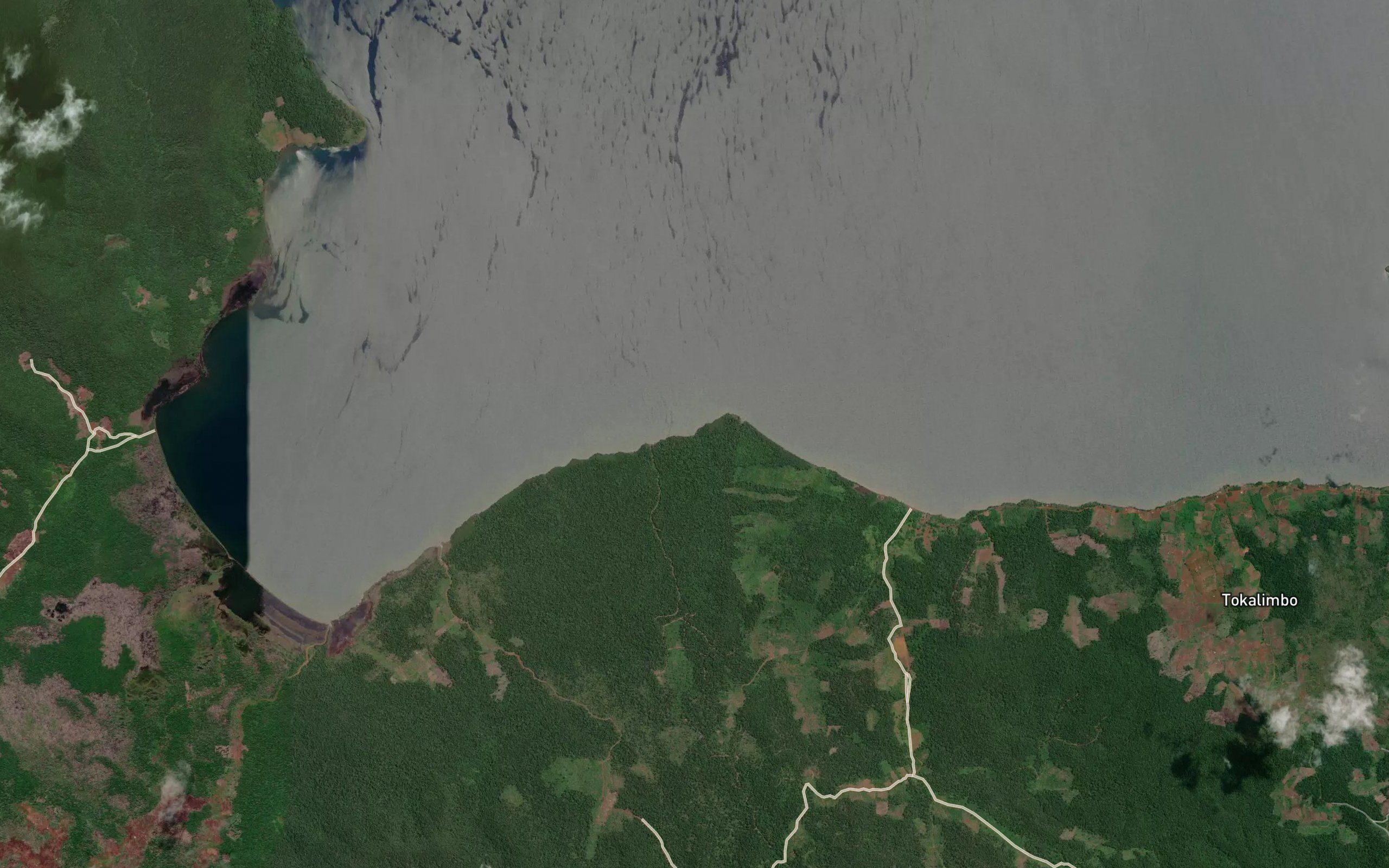Salo Lantibu