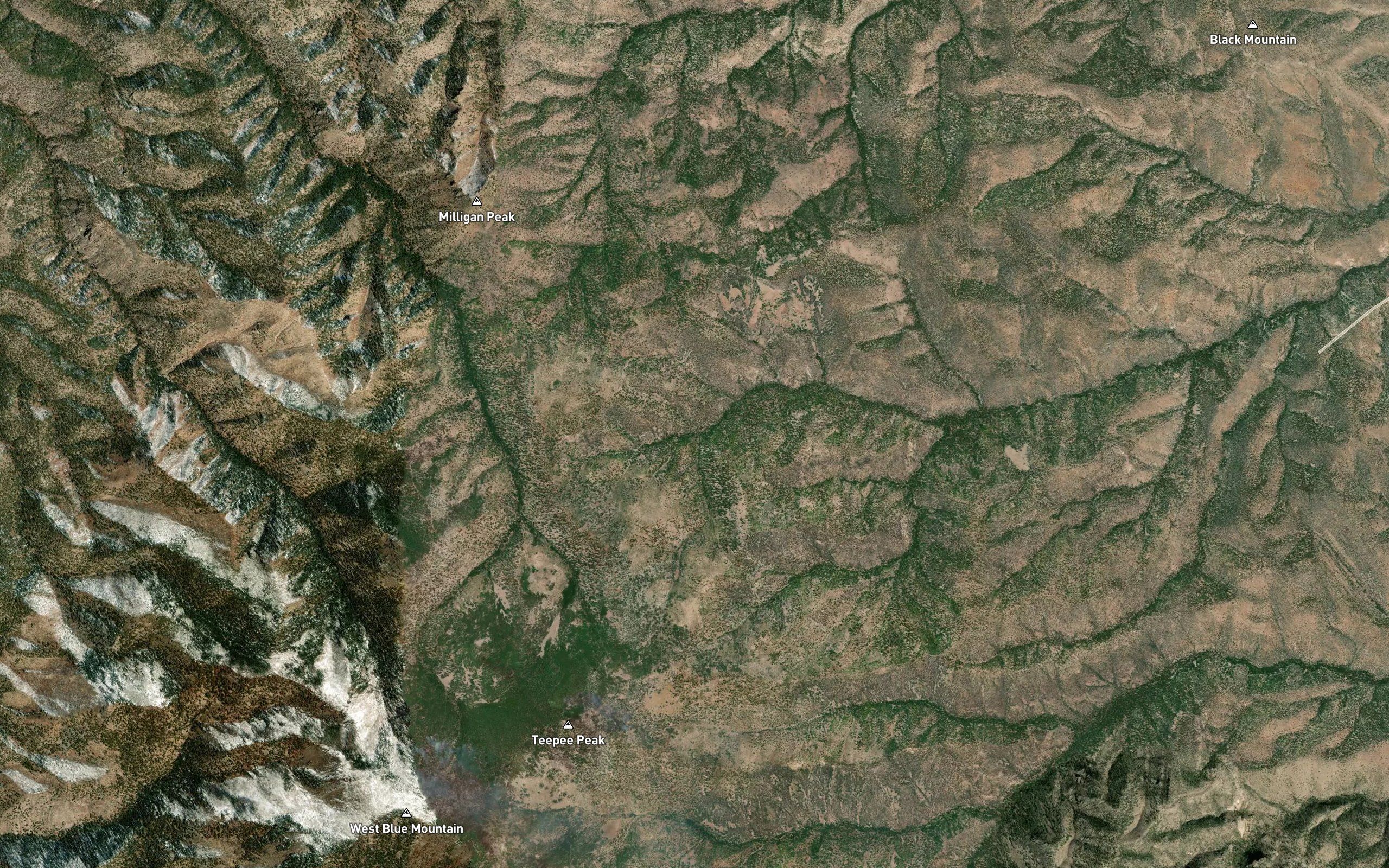 Bull Springs
