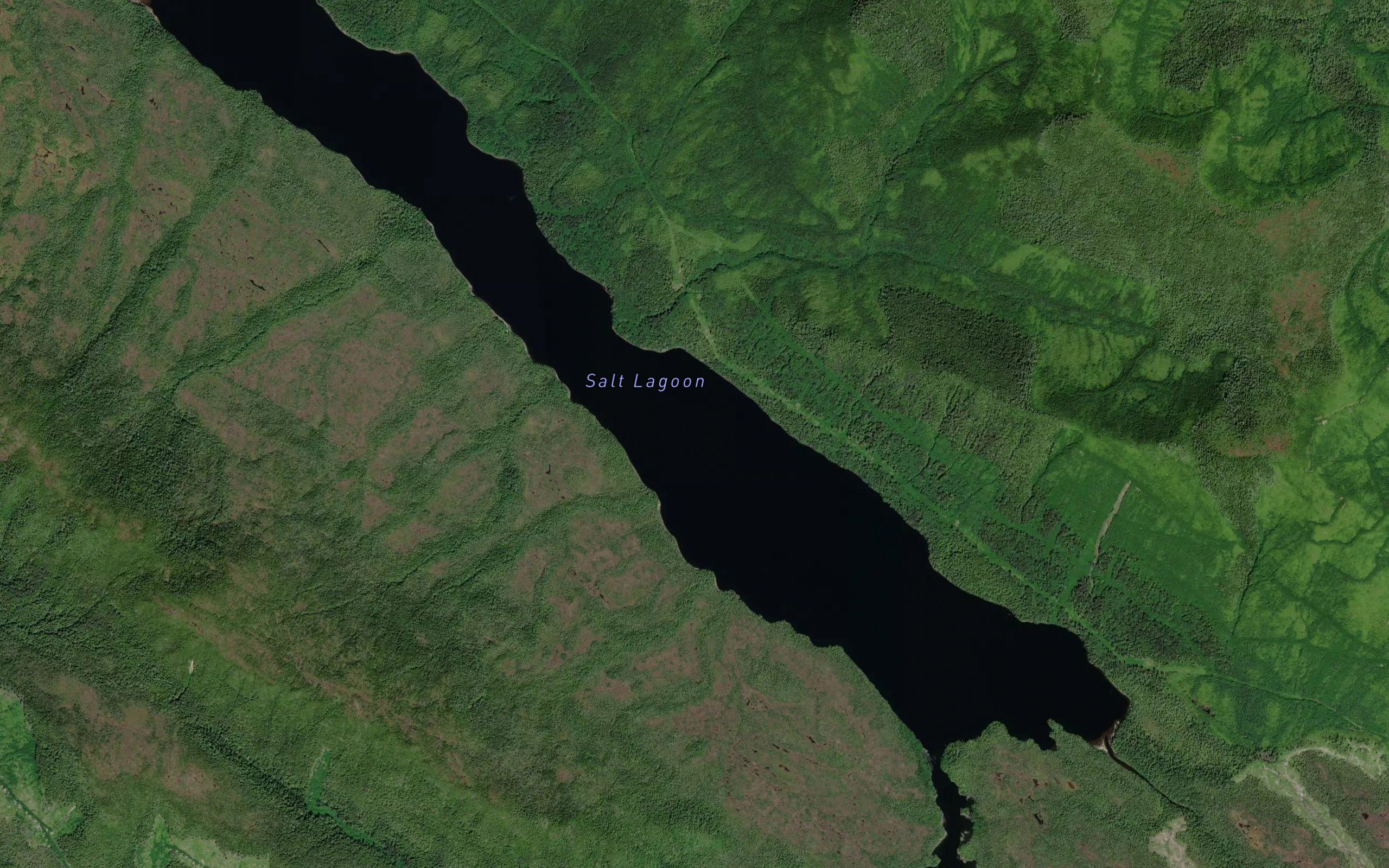 Salt Lagoon