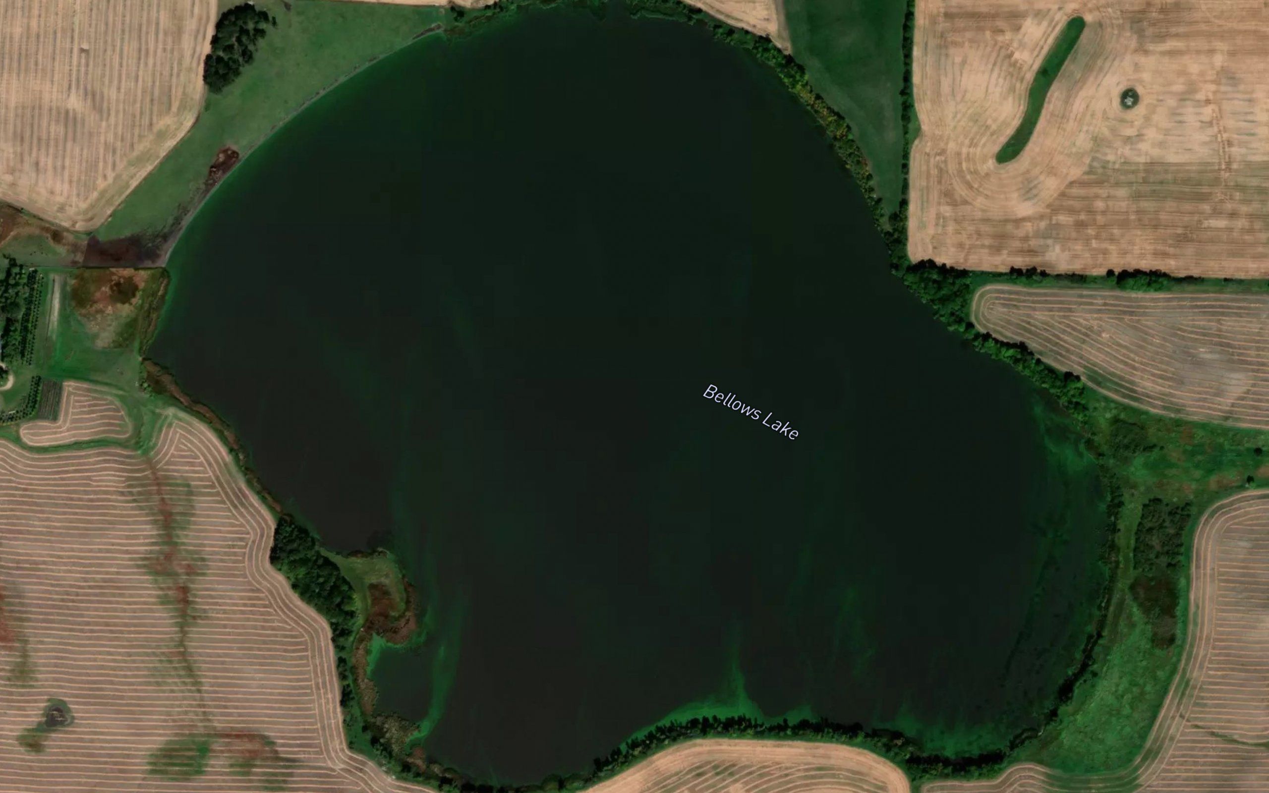 Bellows Lake