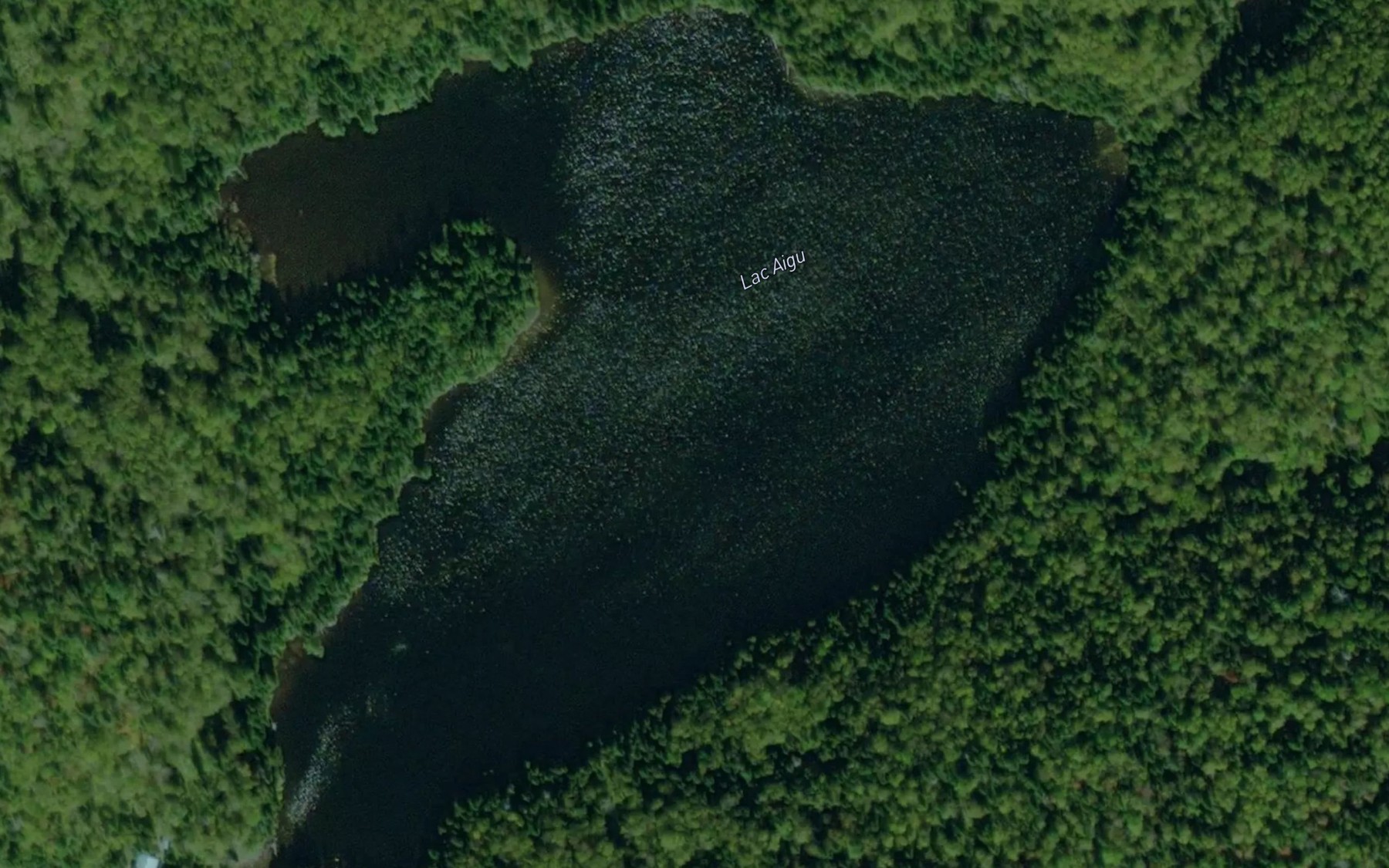 Satellite map of the Lac Aigu