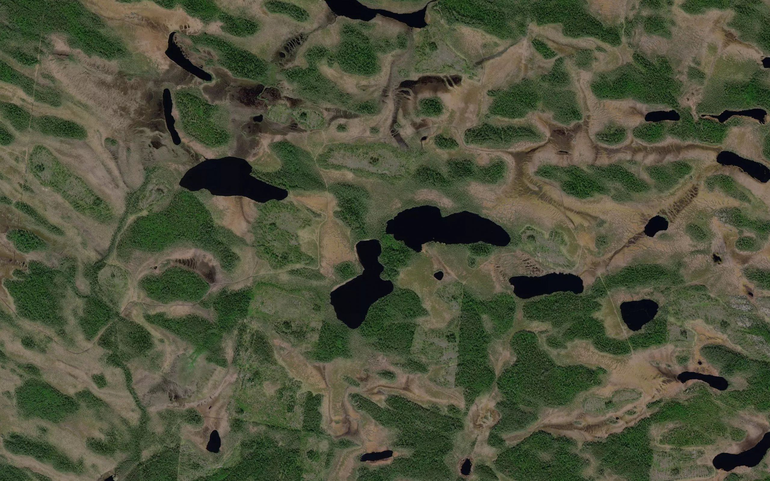 Kubryakovskiye Ozera