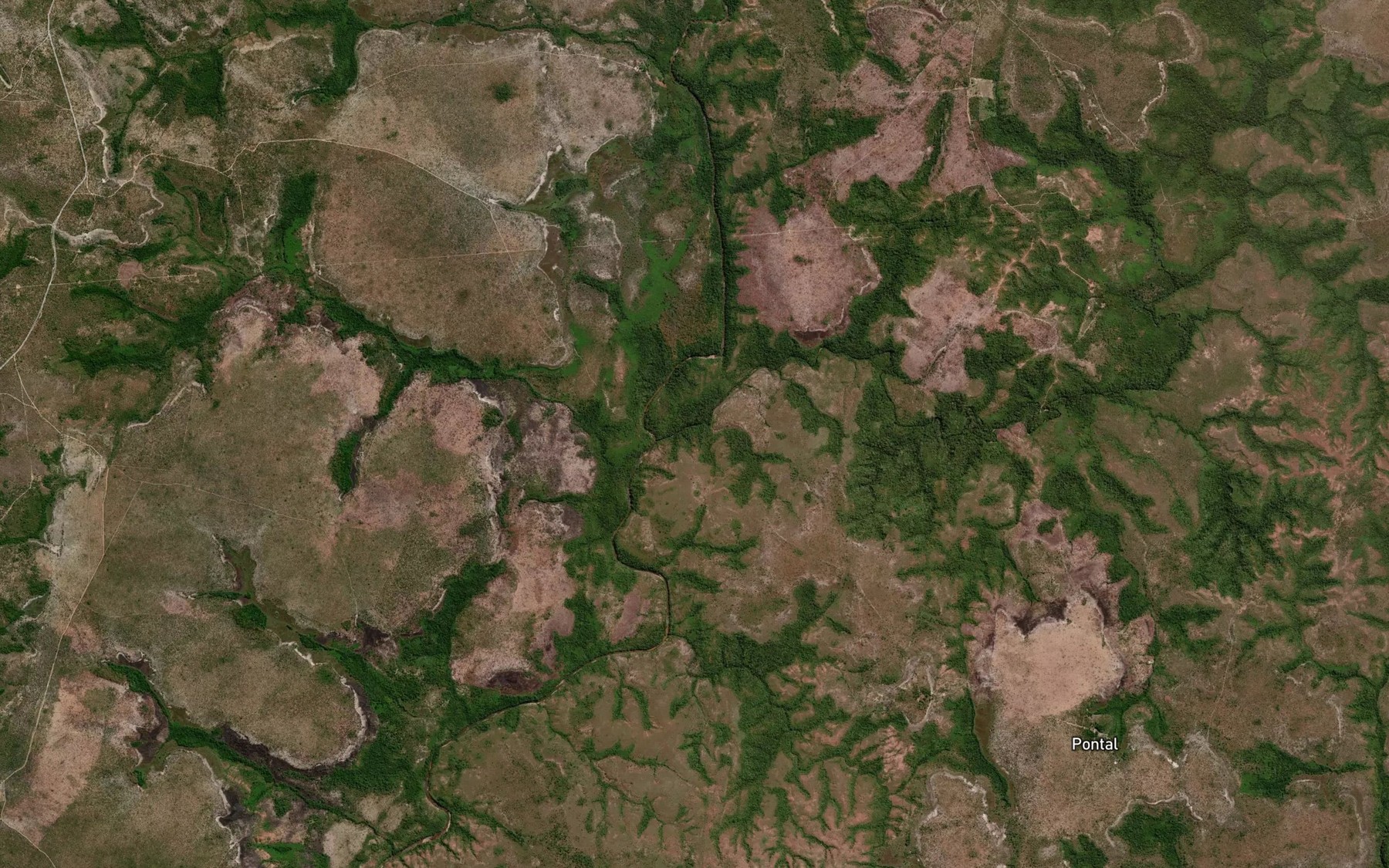 Satellite map of the Rio Palmairim