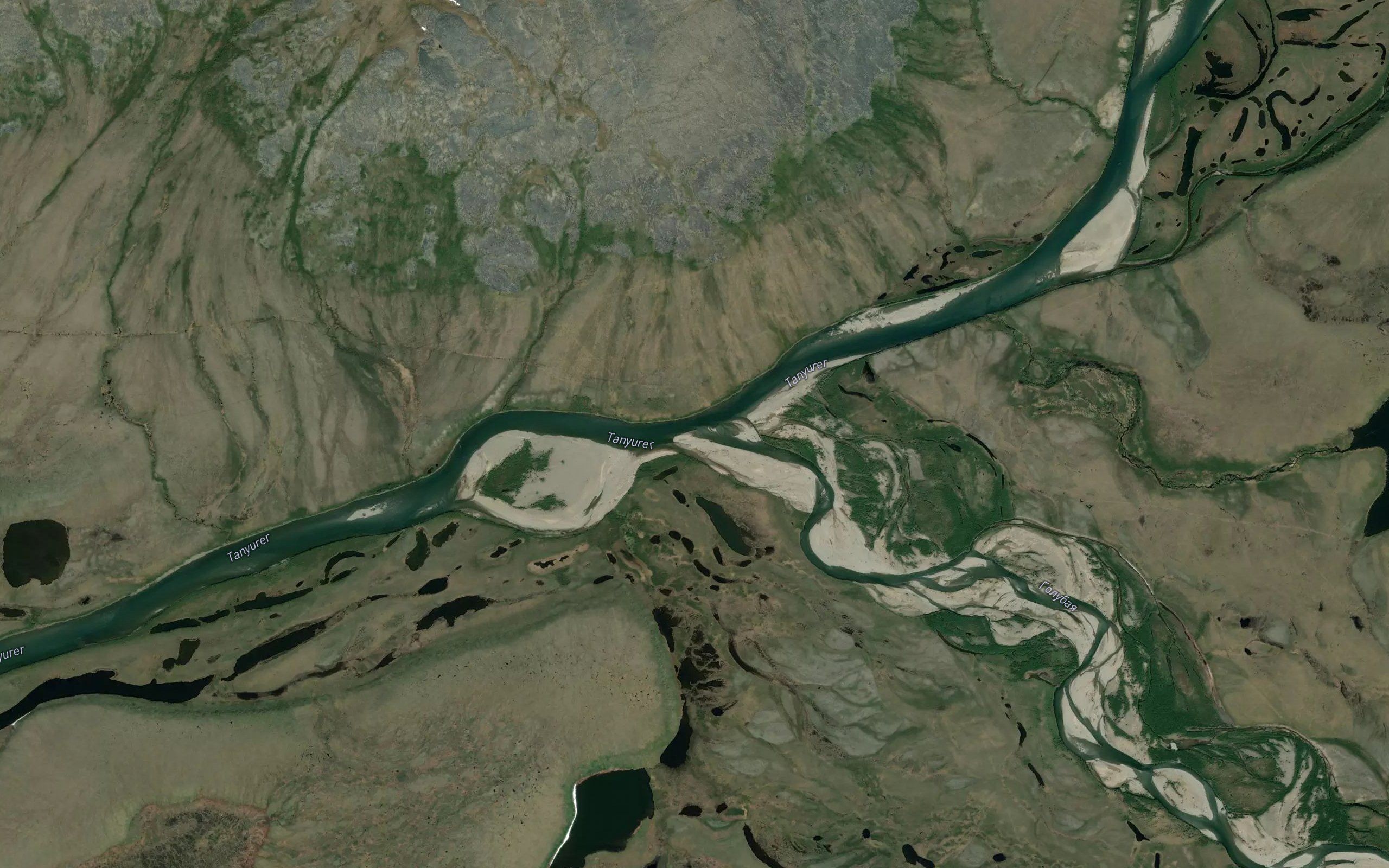 Golubaya