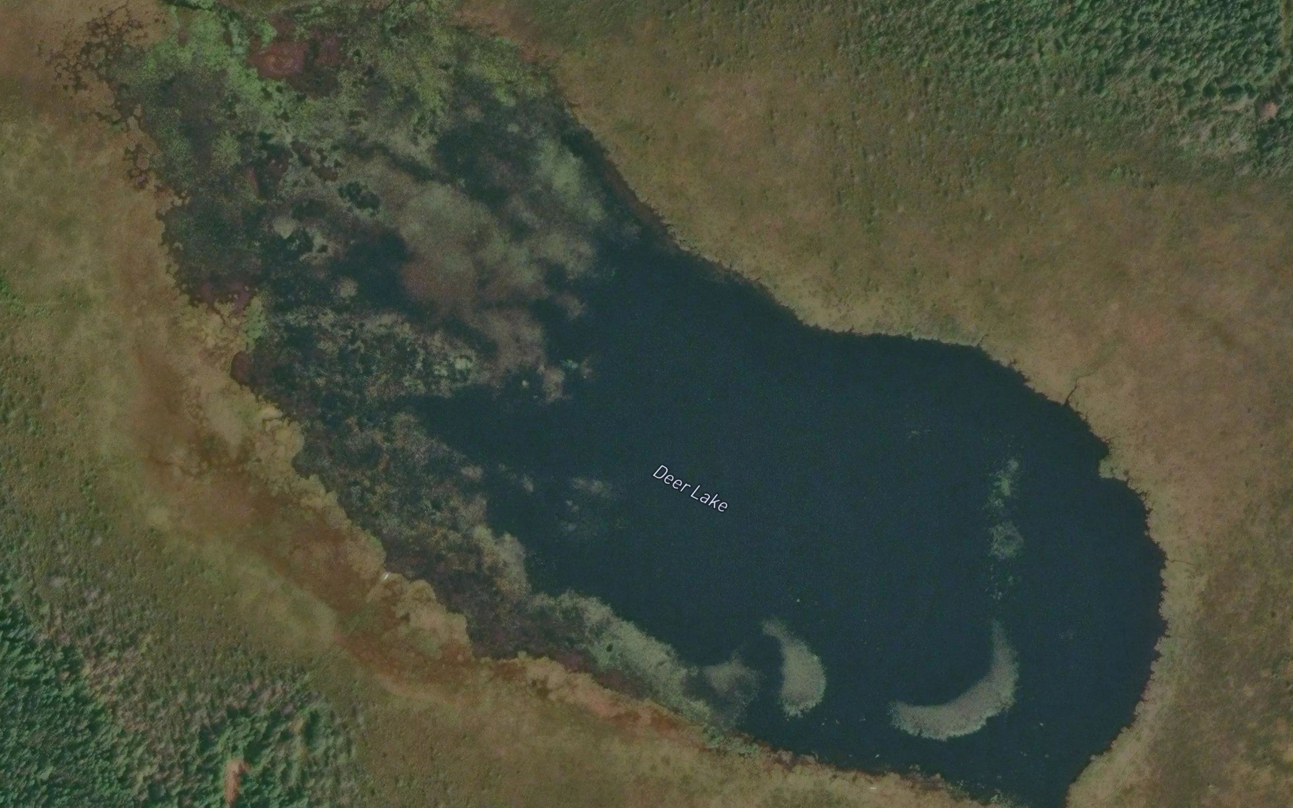 Deer Lake