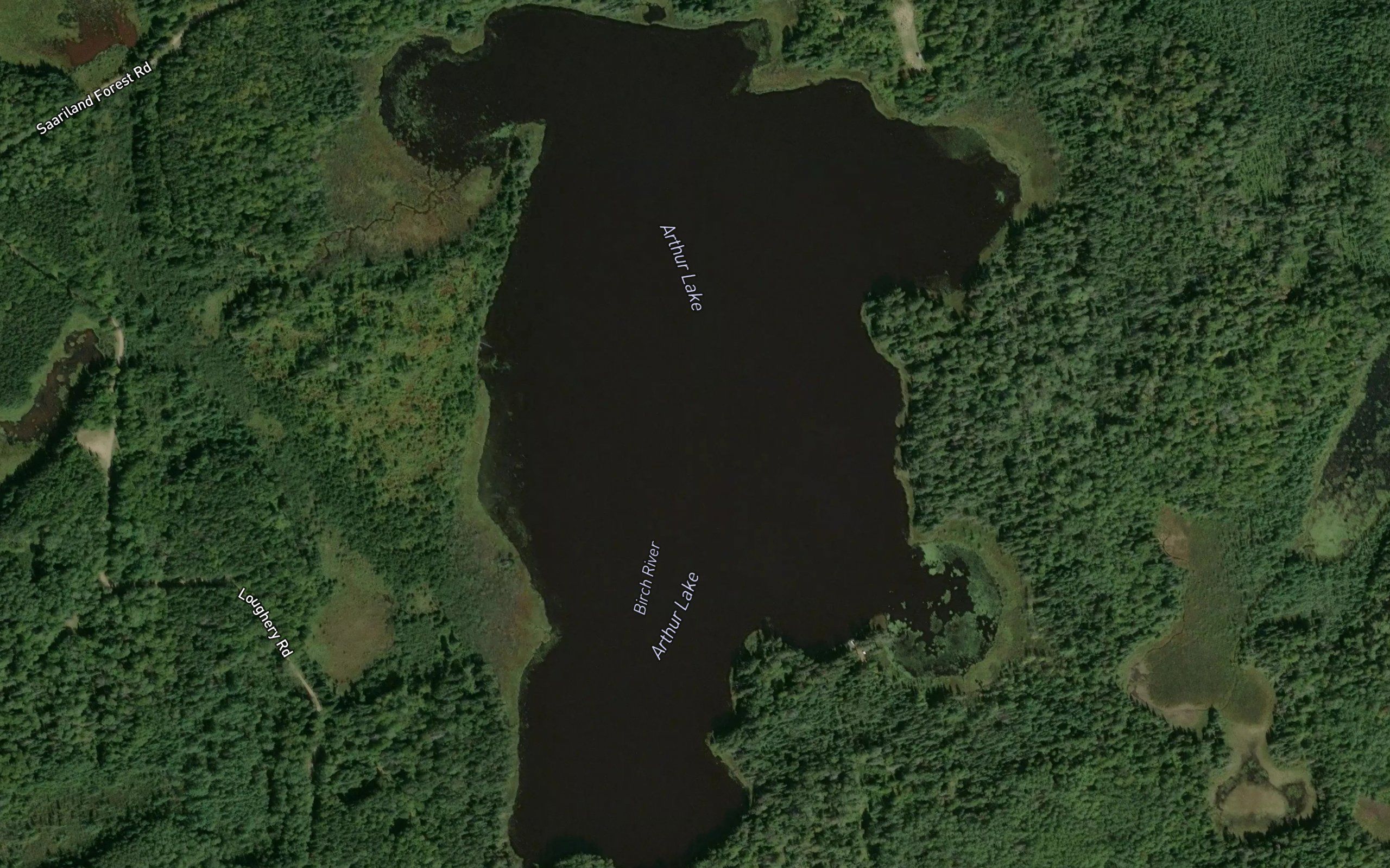 Arthur Lake