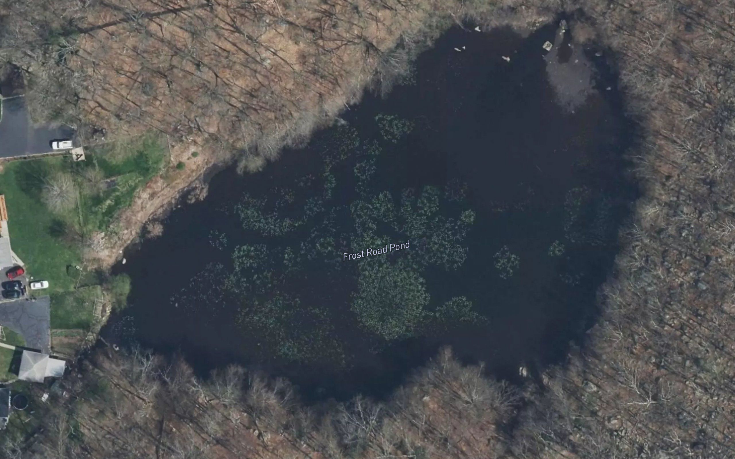 Frost Road Pond