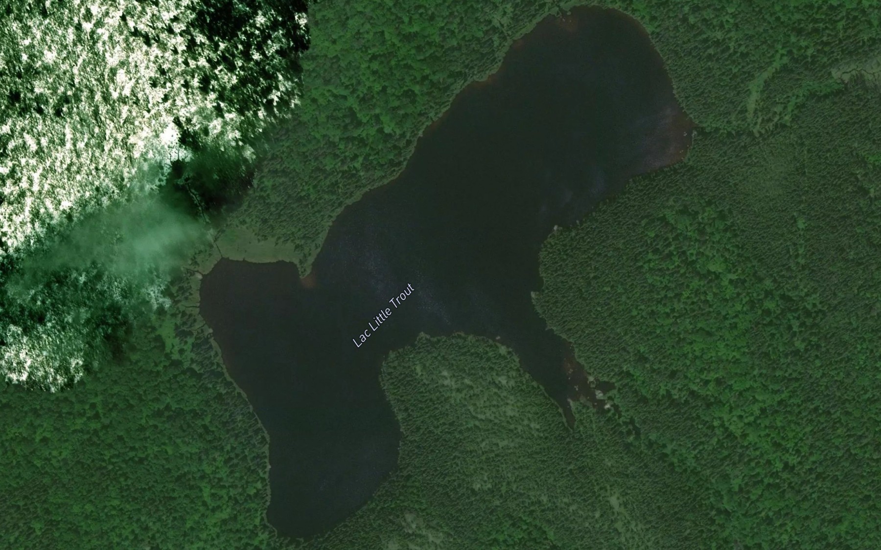 Satellite map of the Lac Little Trout