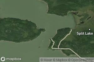 Upistipaneus Narrows