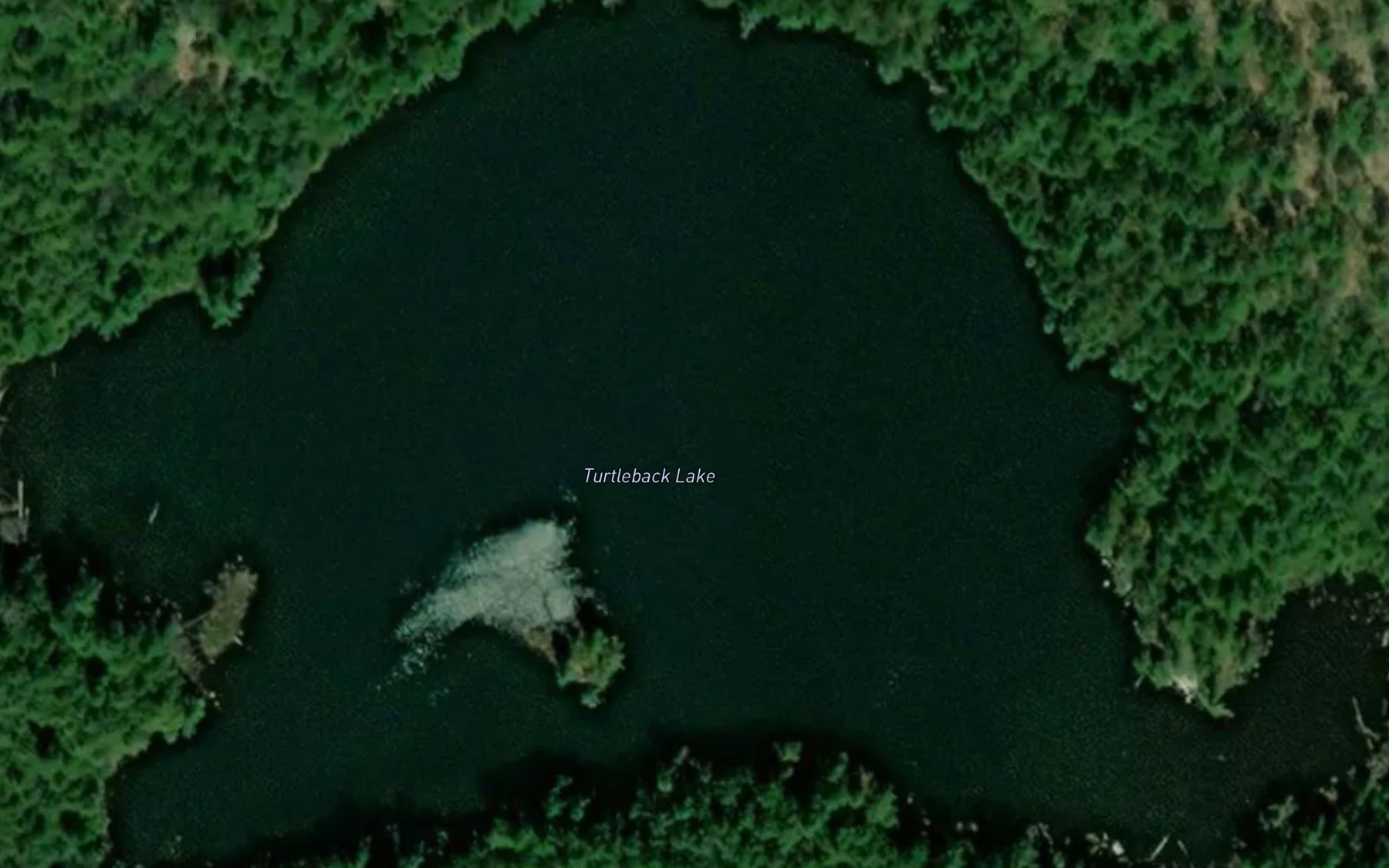 Satellite map of the Turtleback Lake