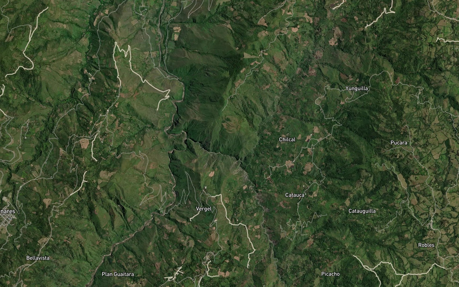 Satellite map of the Rio Tamajoy
