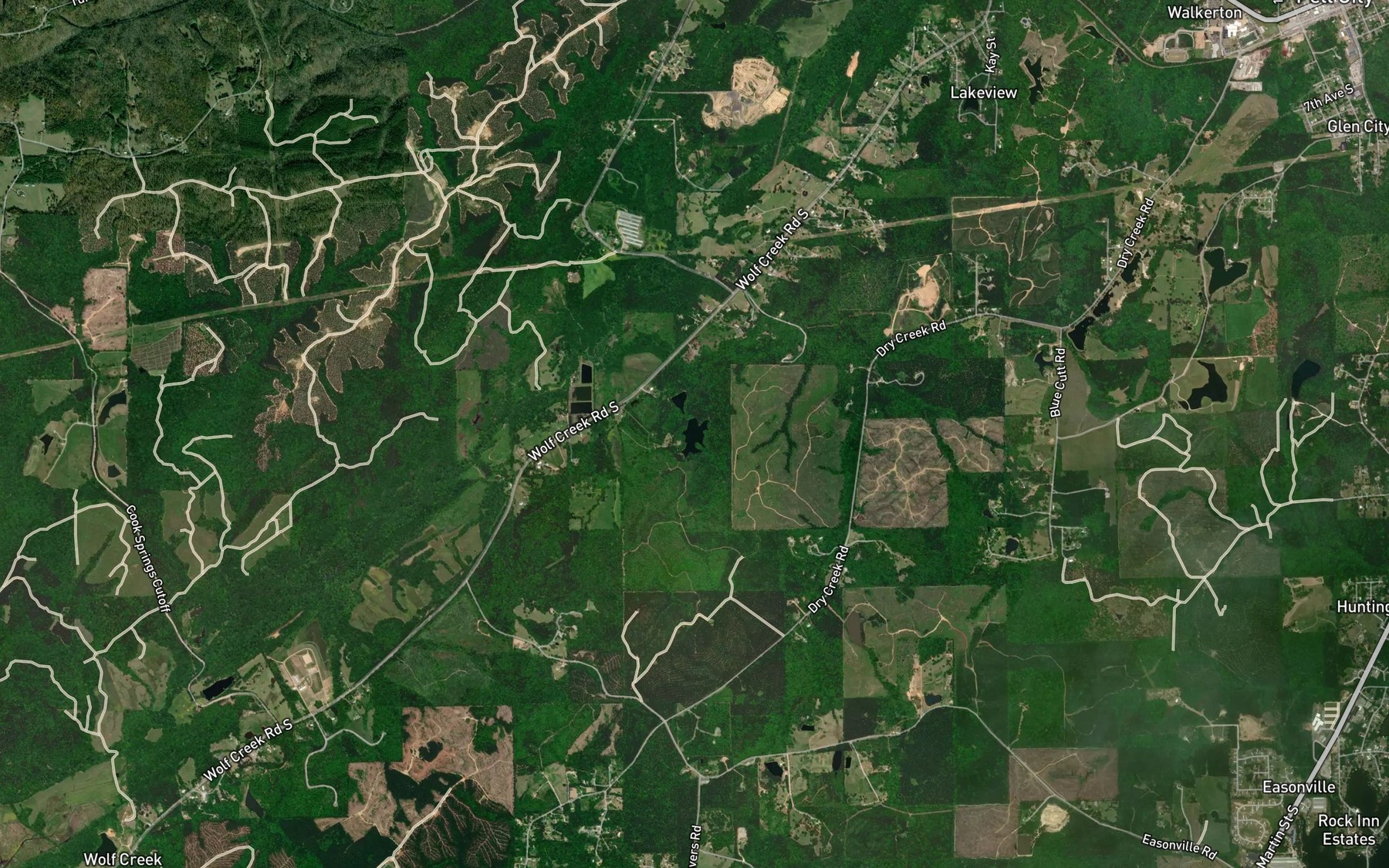 Satellite map of the Golden Lake