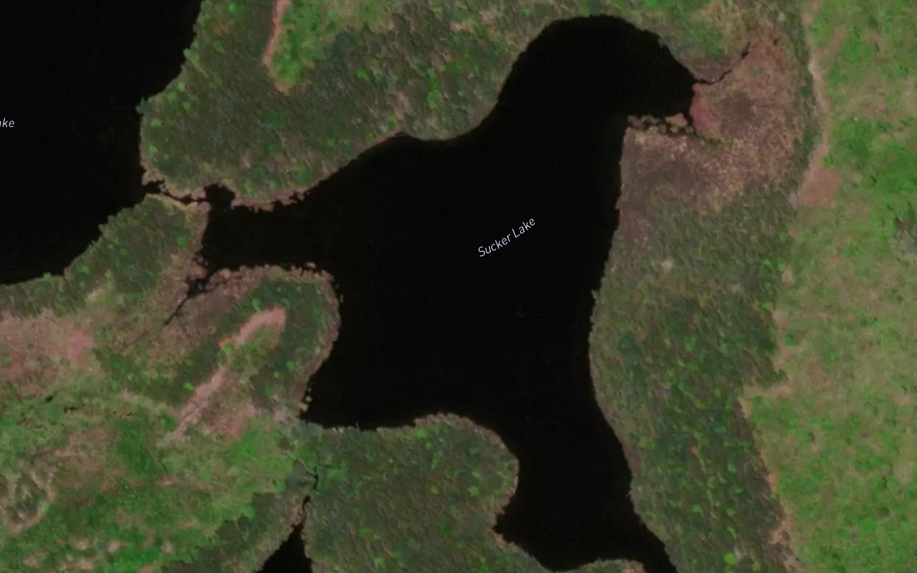 Satellite map of the Sucker Lake