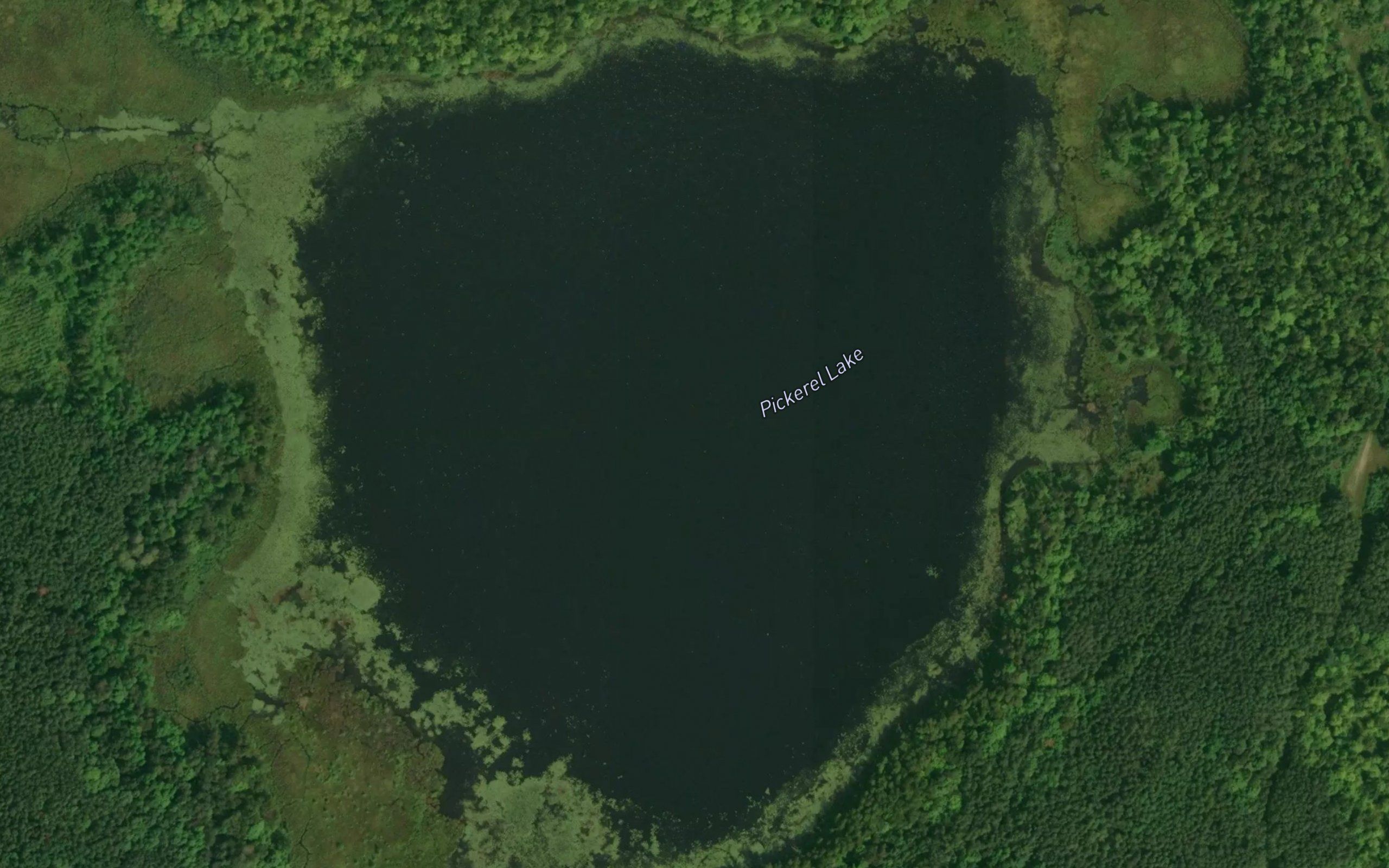Pickerel Lake