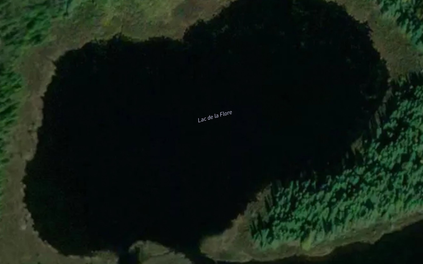 Satellite map of the Lac de la Flore