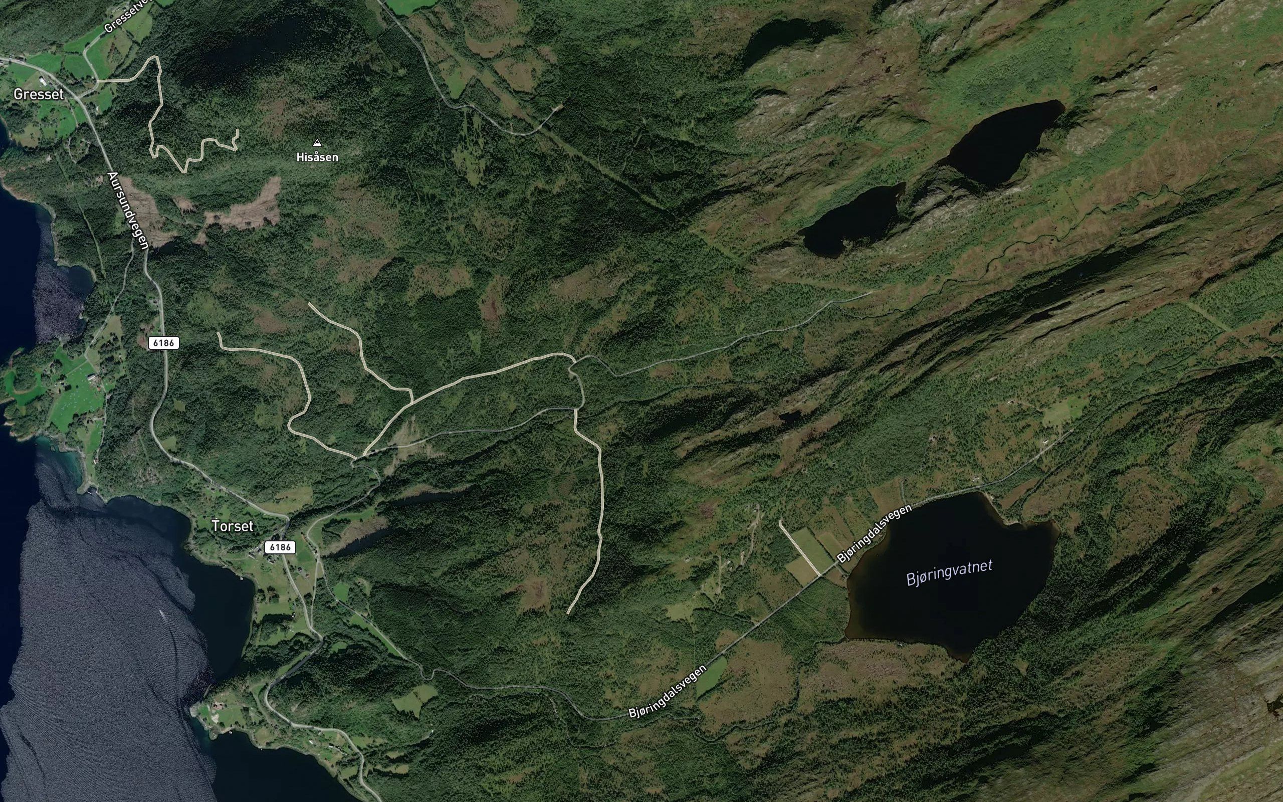 Torsetelva