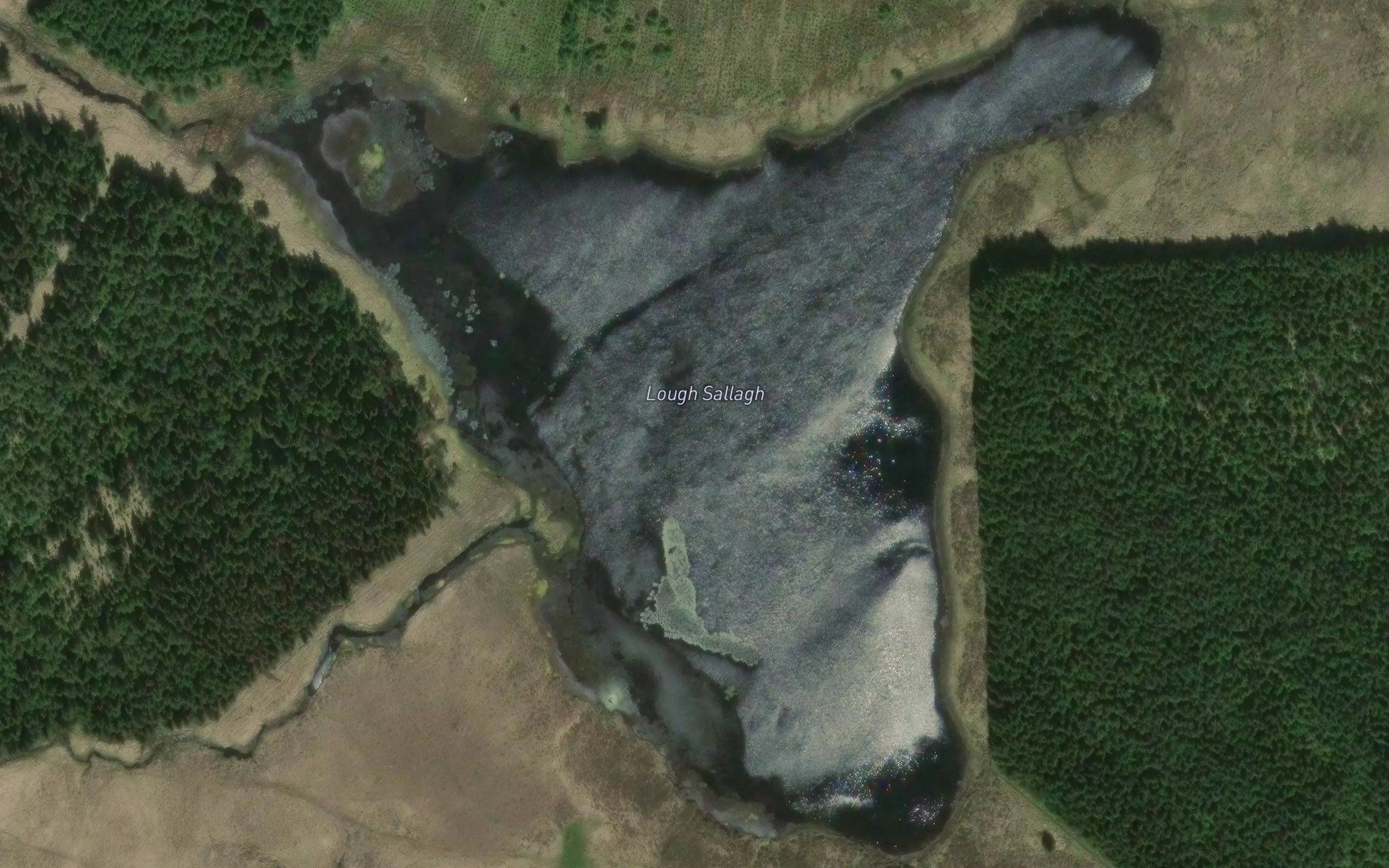 Lough Sallagh