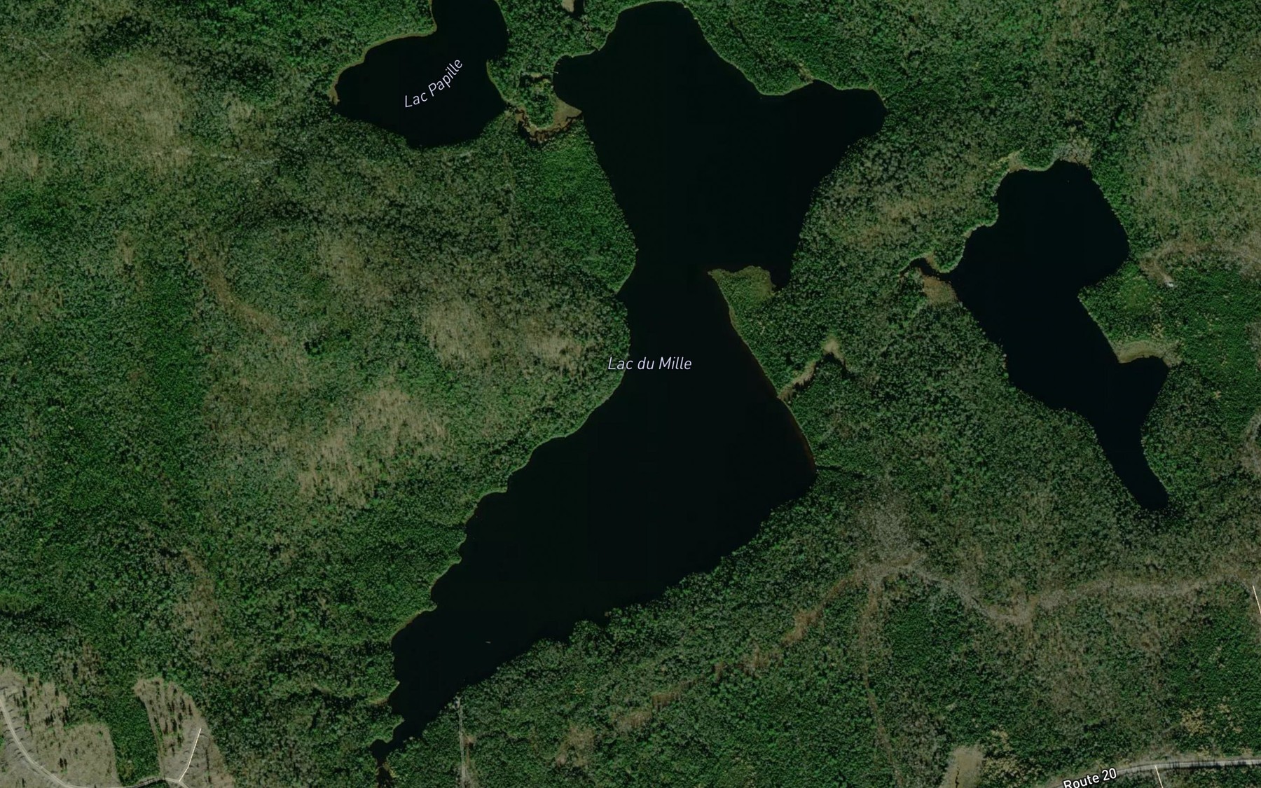 Satellite map of the Lac du Mille