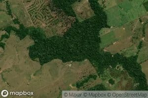 Igarape Santa Helena