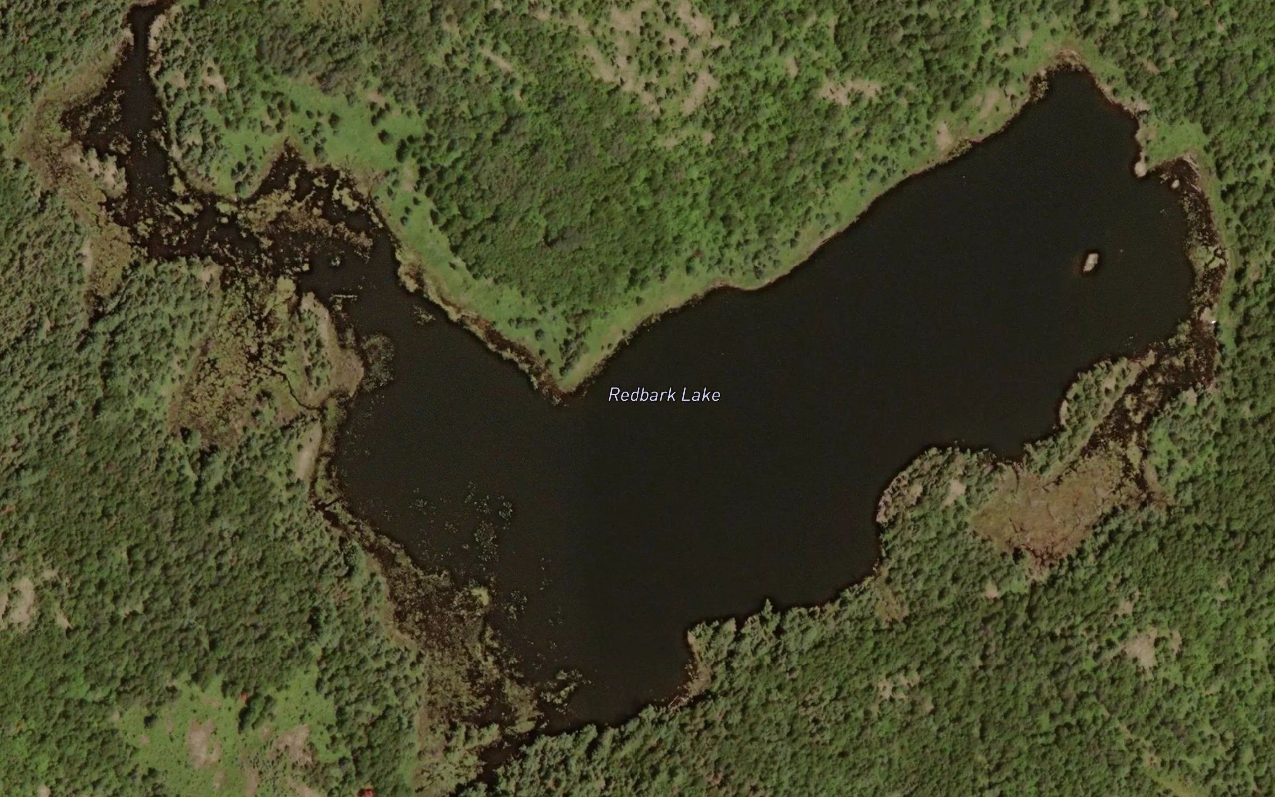 Redbark Lake