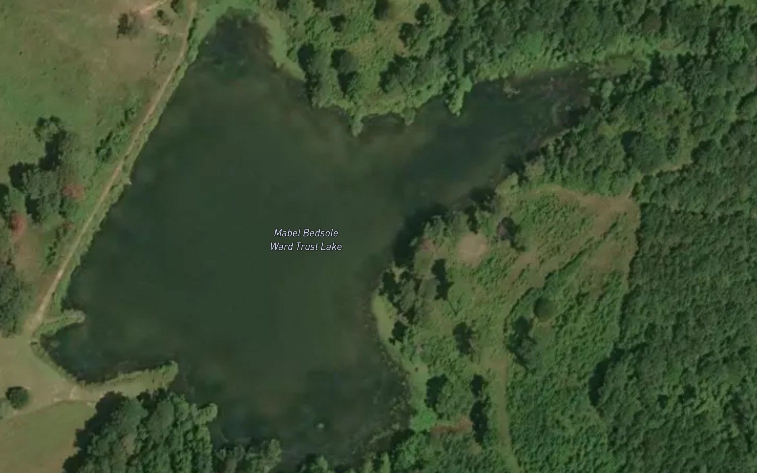 Mabel Bedsole Ward Trust Lake
