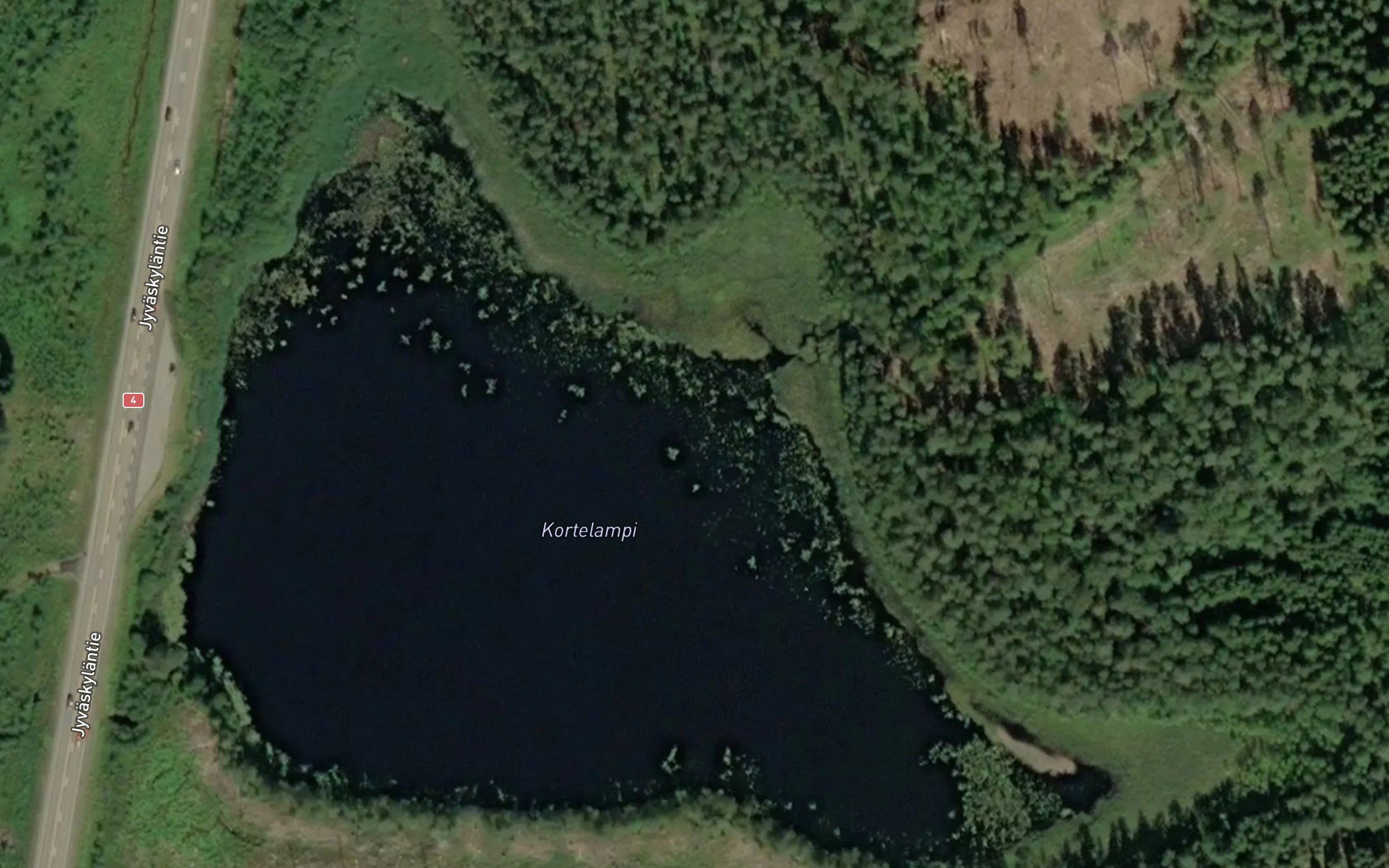 Kortelampi