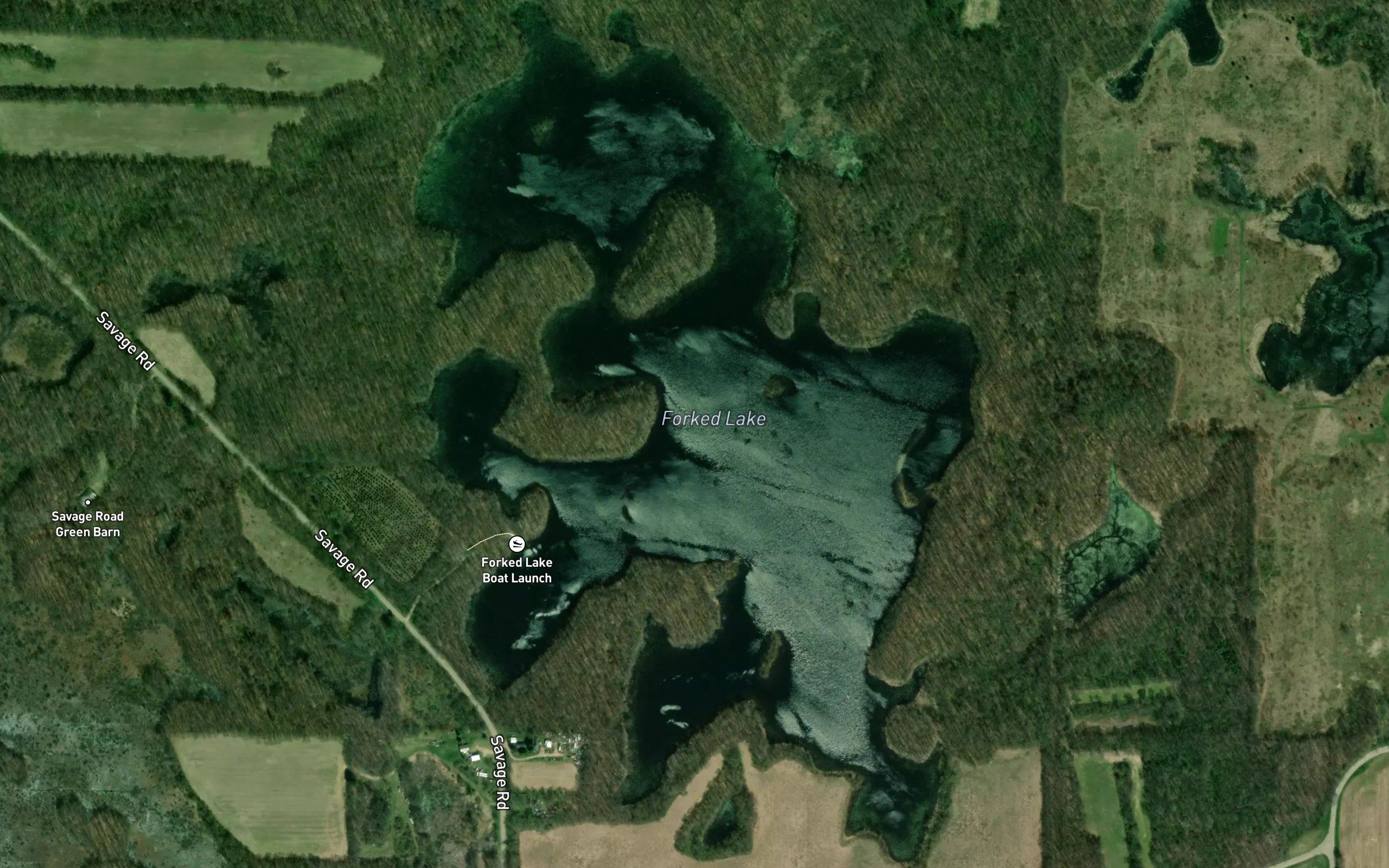 Forked Lake