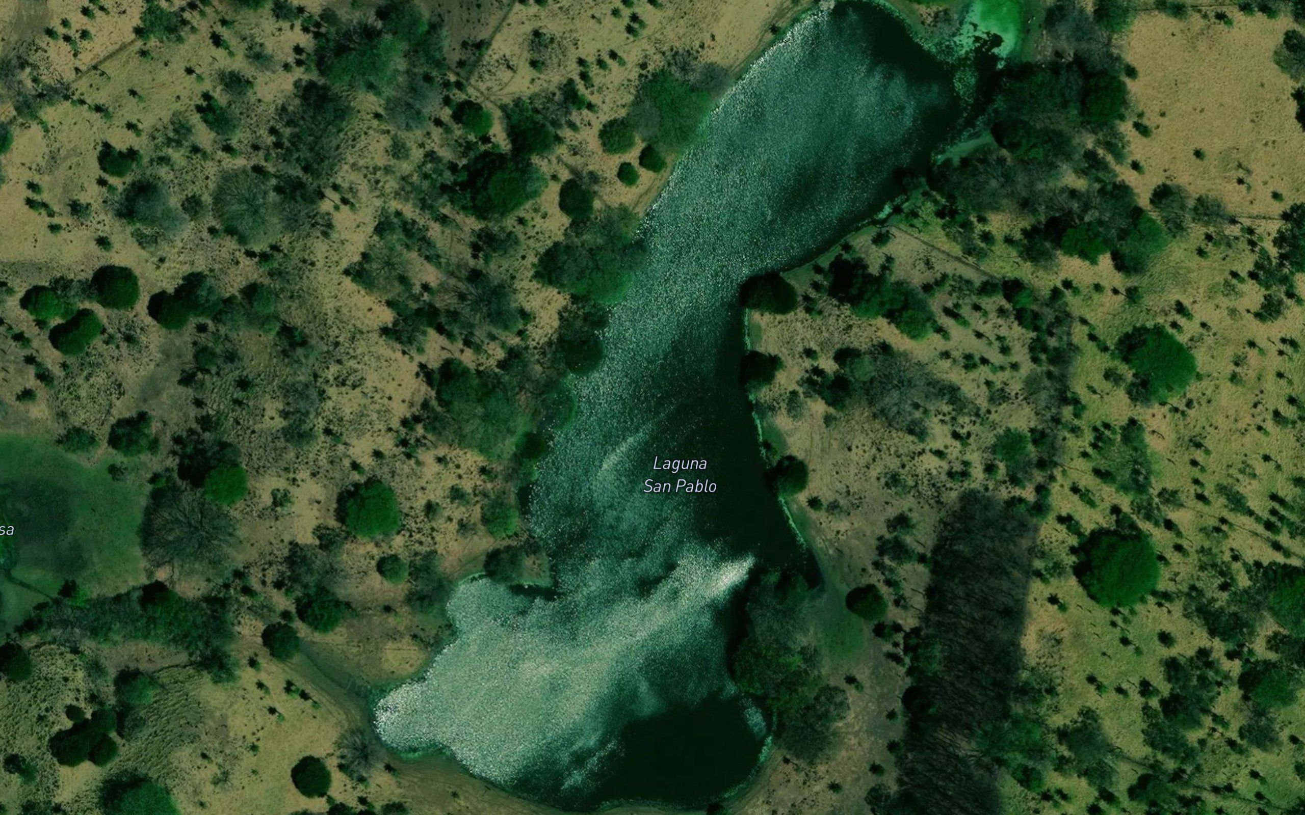 Laguna San Pablo